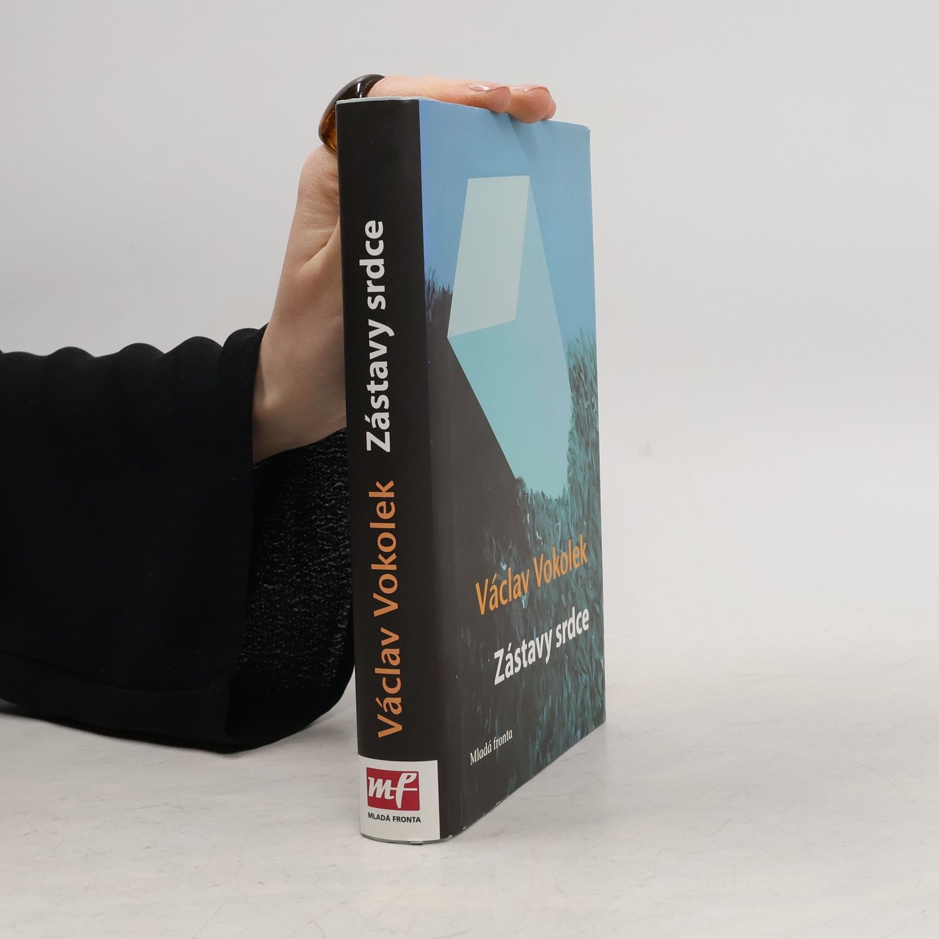 Václav Vokolek Zástavy srdce