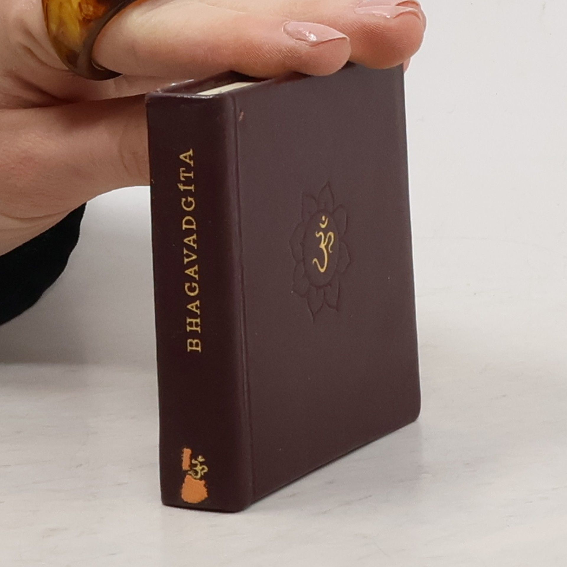 Rudolf Janíček Bhagavadgíta