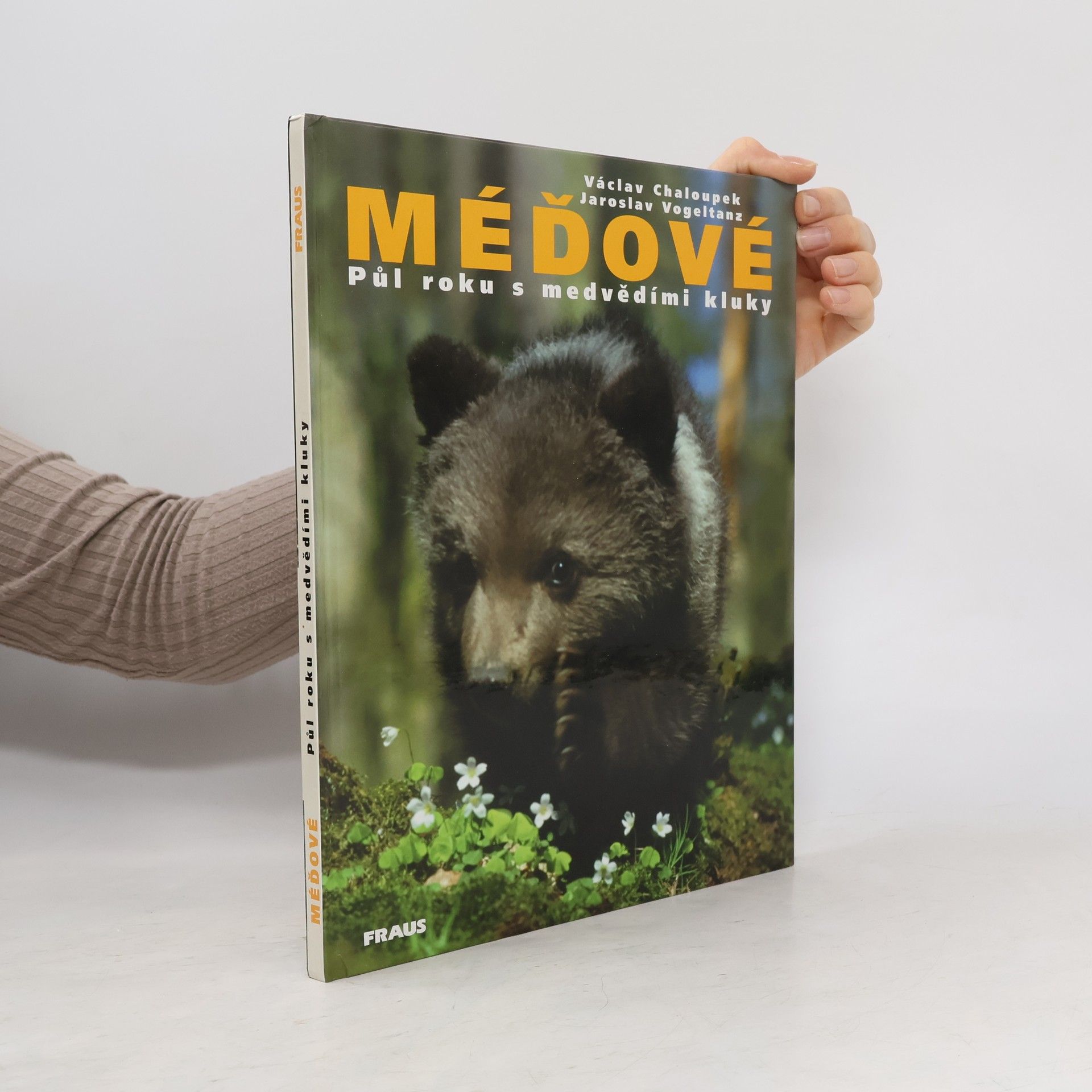 Václav Chaloupek Méďové. Půl roku s medvědími kluky