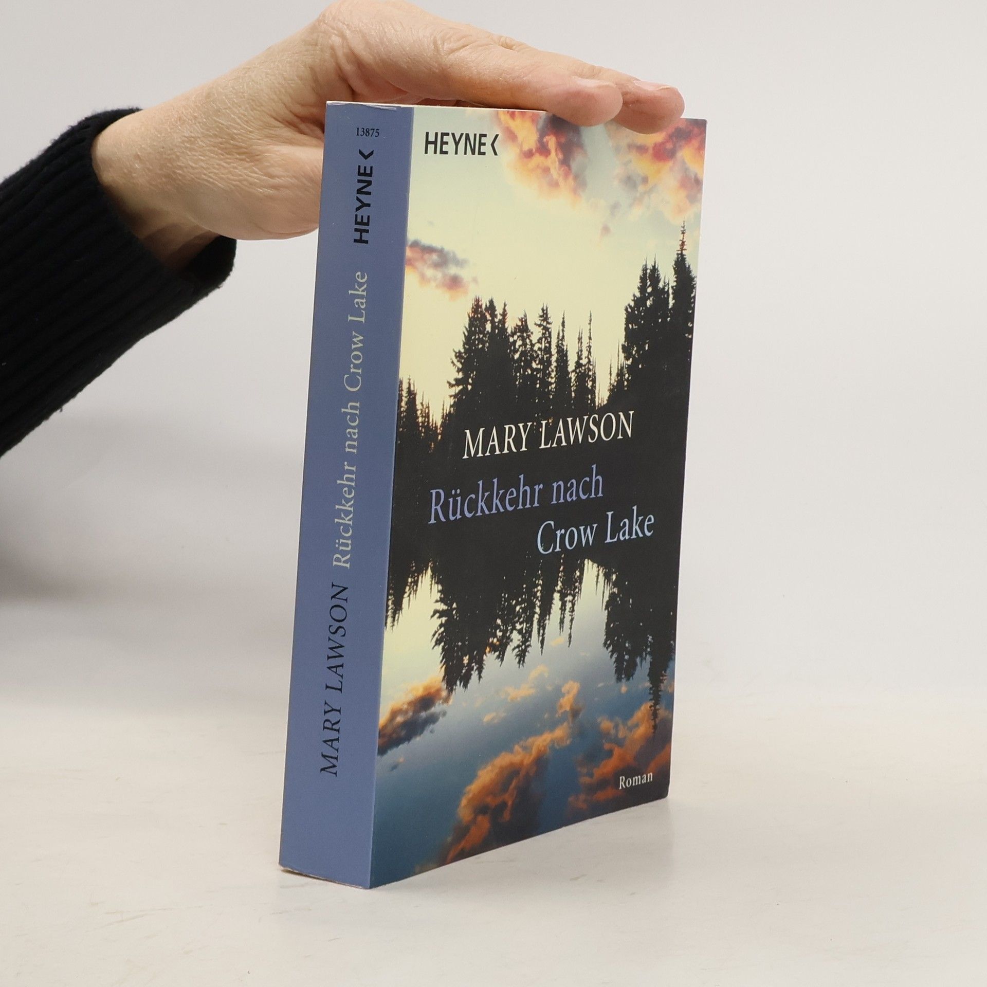 Mary Lawson Rückkehr nach Crow Lake