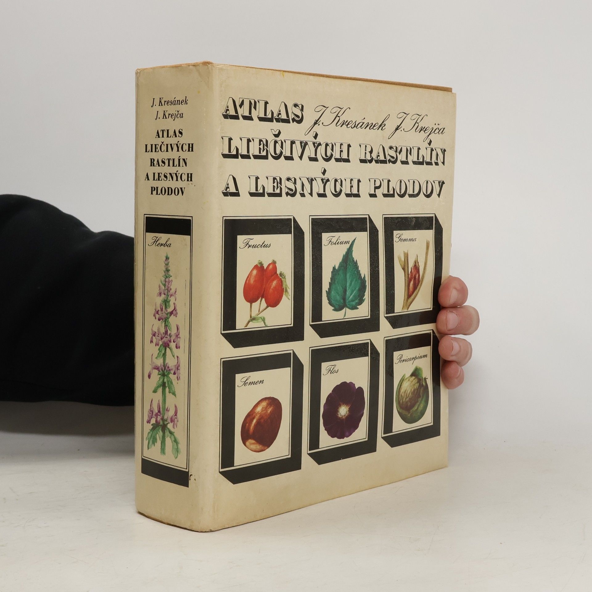 Jindřich Krejča Atlas liečivých rastlín a lesných plodov