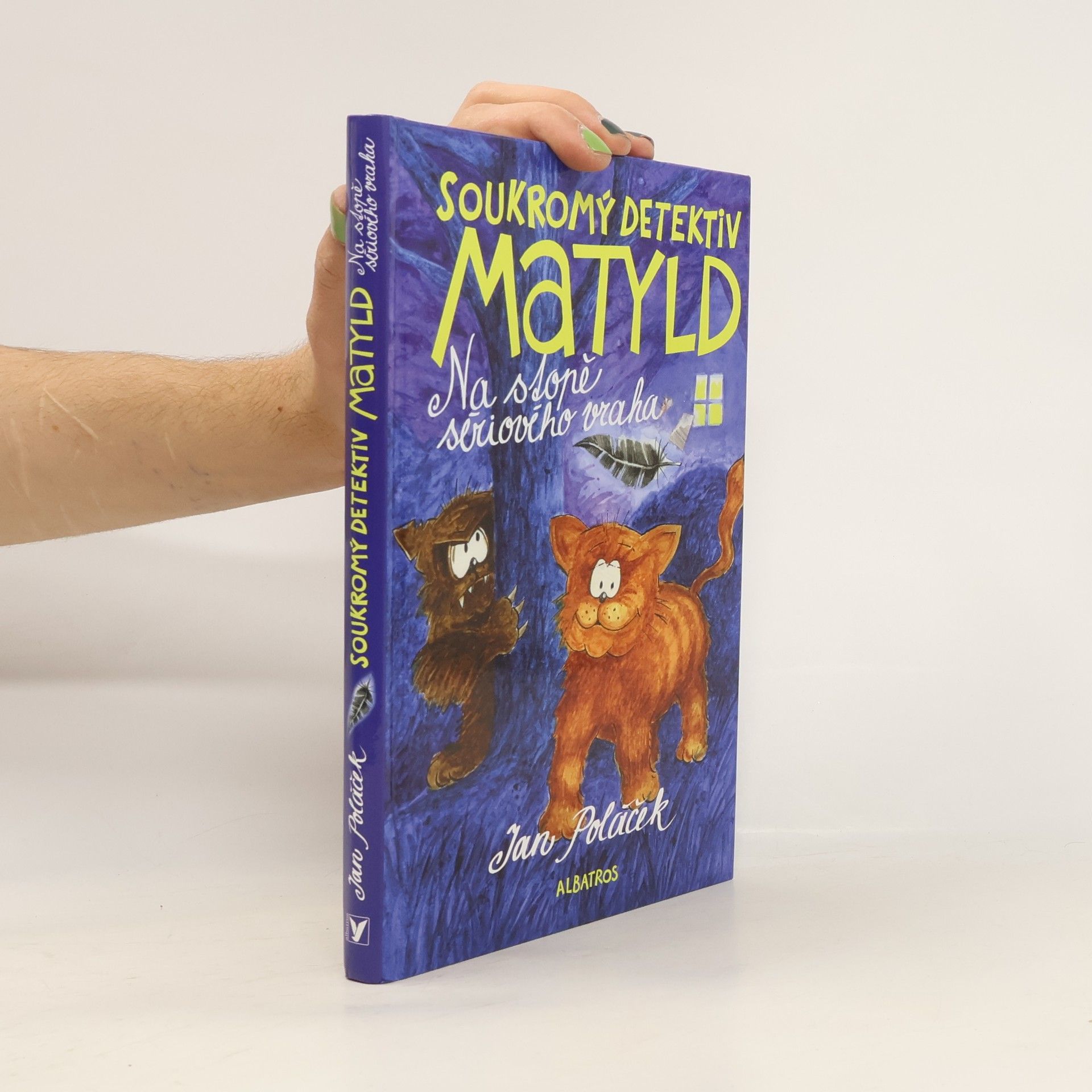 Jan Poláček Soukromý detektiv Matyld