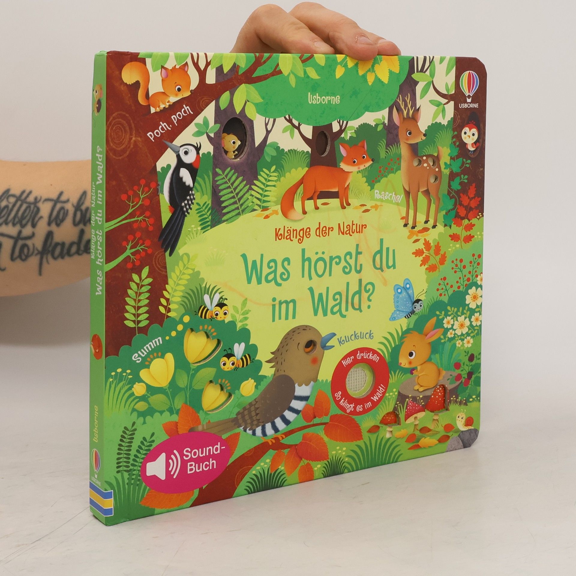 Sam Taplin Klänge der Natur - was hörst du im Wald?