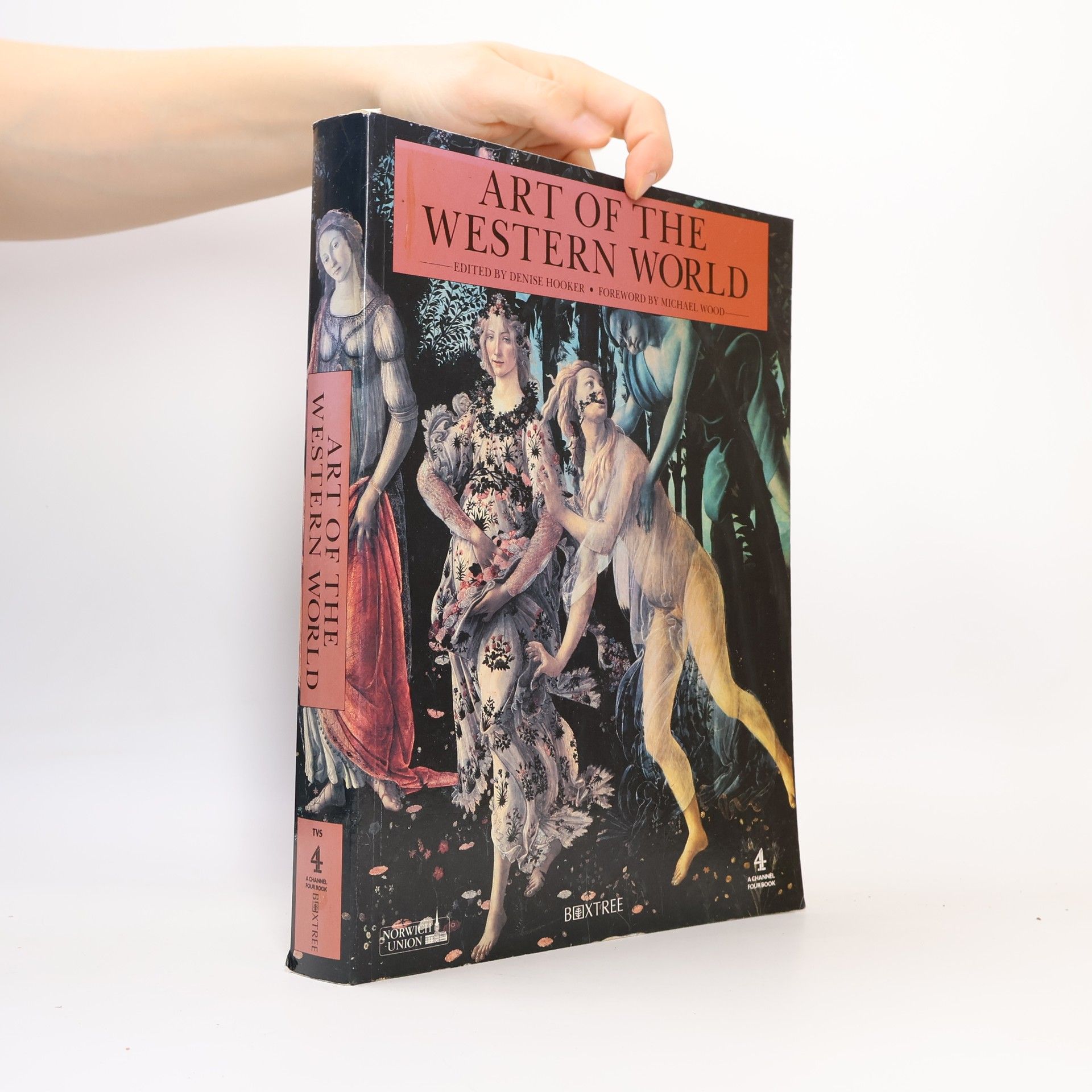 Denise Hooker Art of the Western World