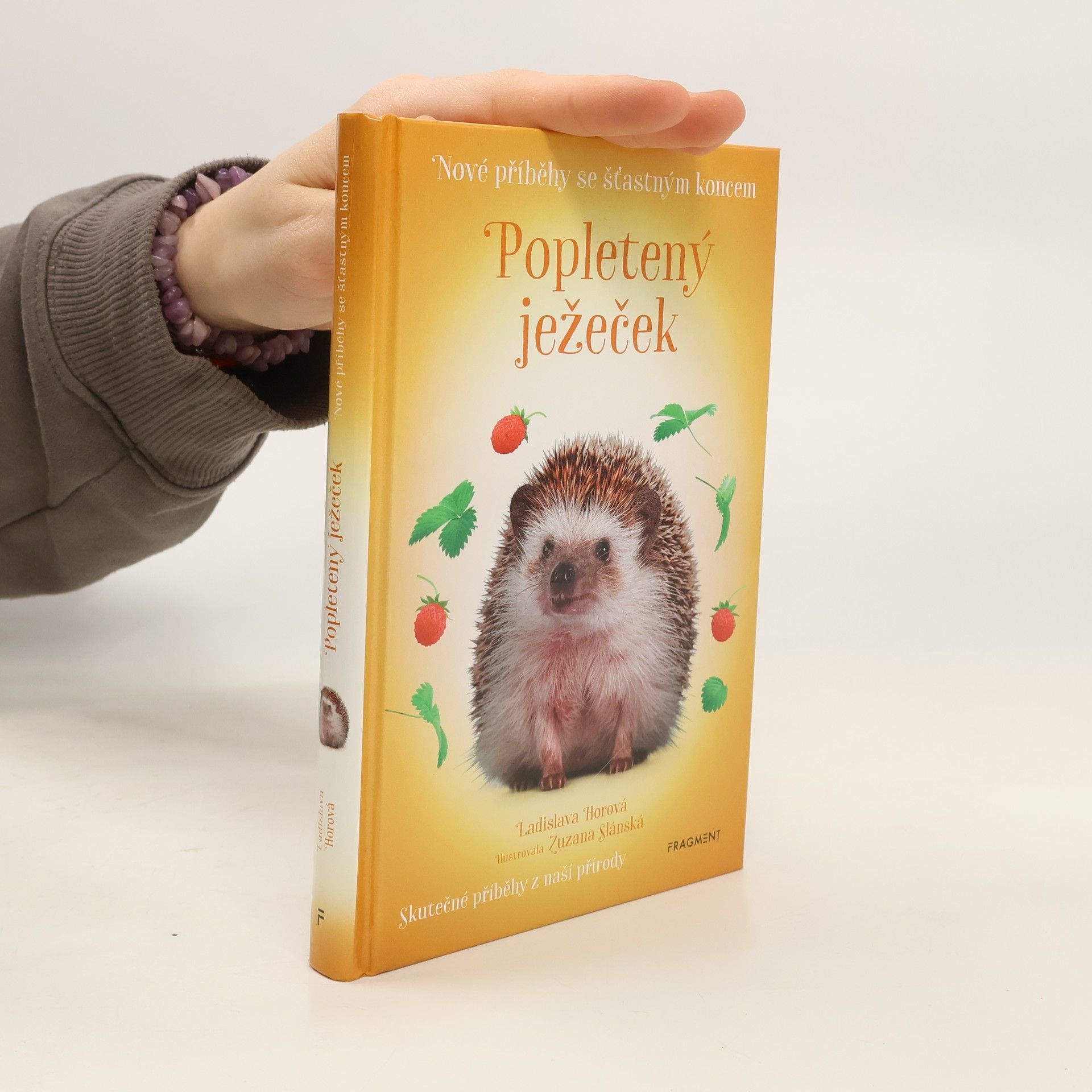 Ladislava Horová Popletený ježeček