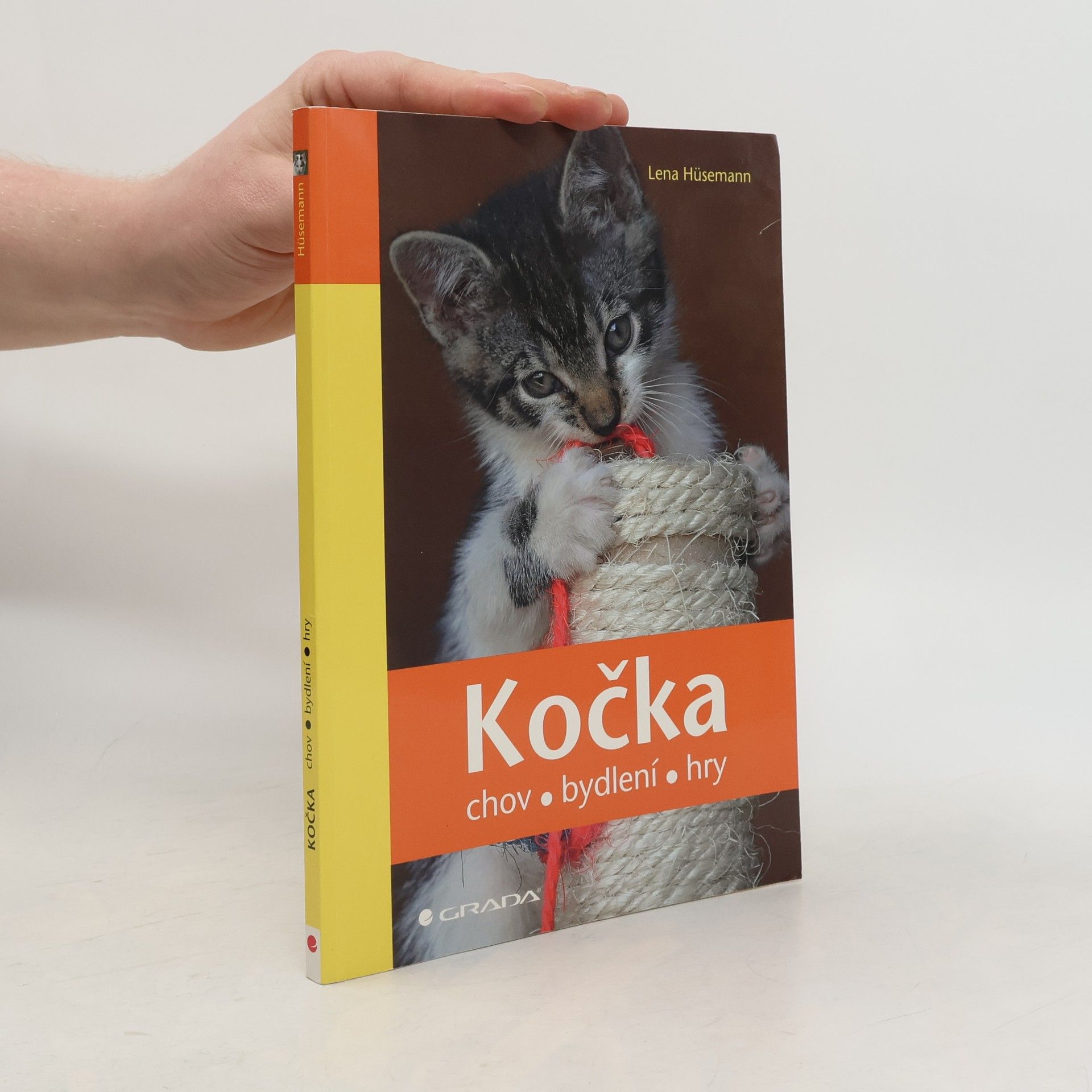Lena Hüsemann Kočka. Chov, bydlení, hry
