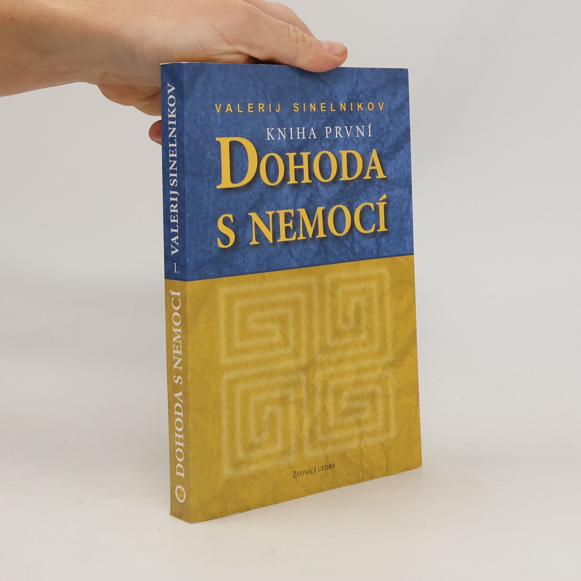 Valerij Vladimirovič Sinelnikov Dohoda s nemocí. Kniha první