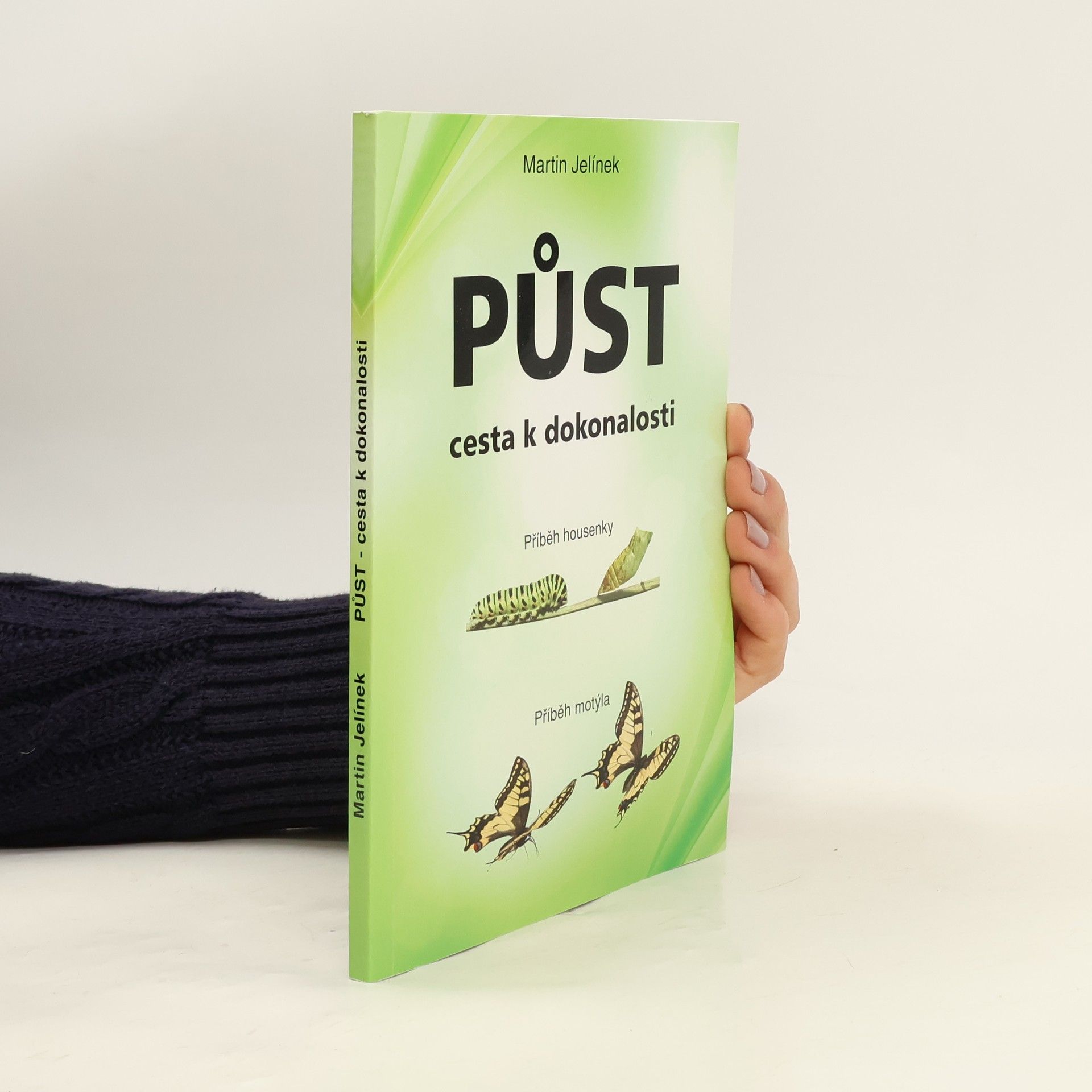 Jelínek Martin Půst - cesta k dokonalosti