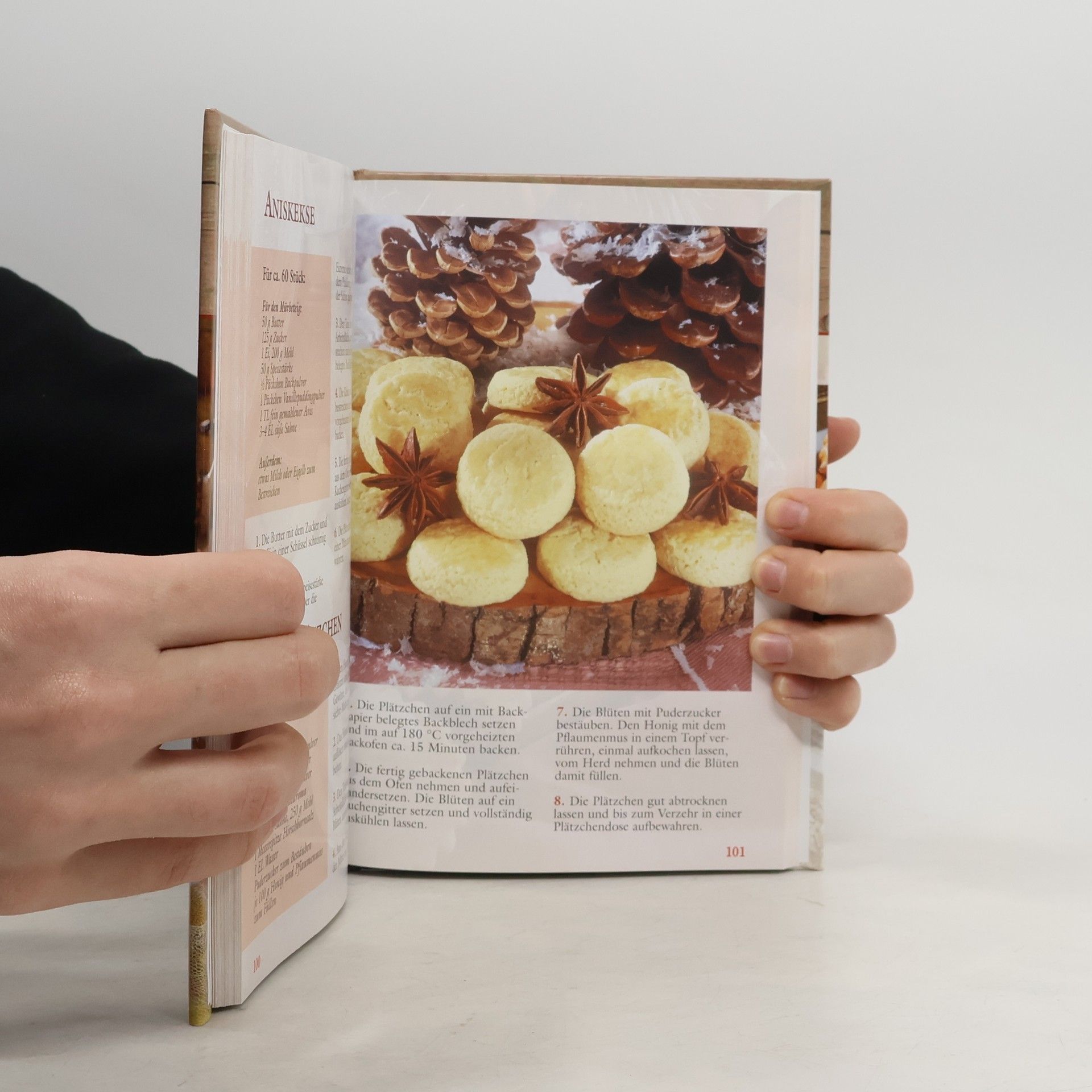 Autorenkollektiv 100 Rezepte Plätzchen