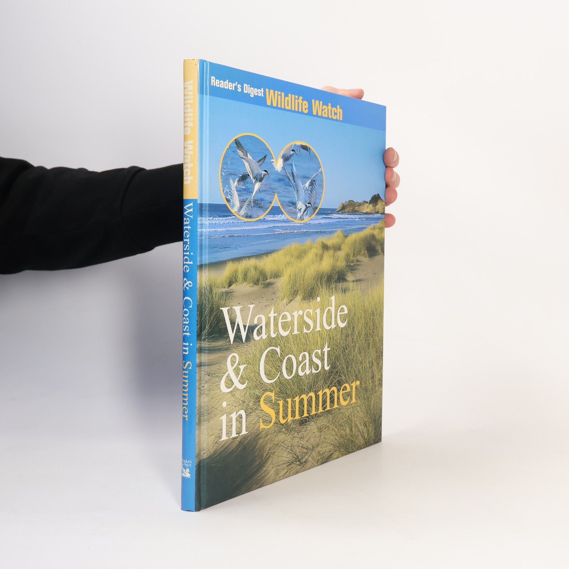 Autorenkollektiv Waterside & Coast in Summer