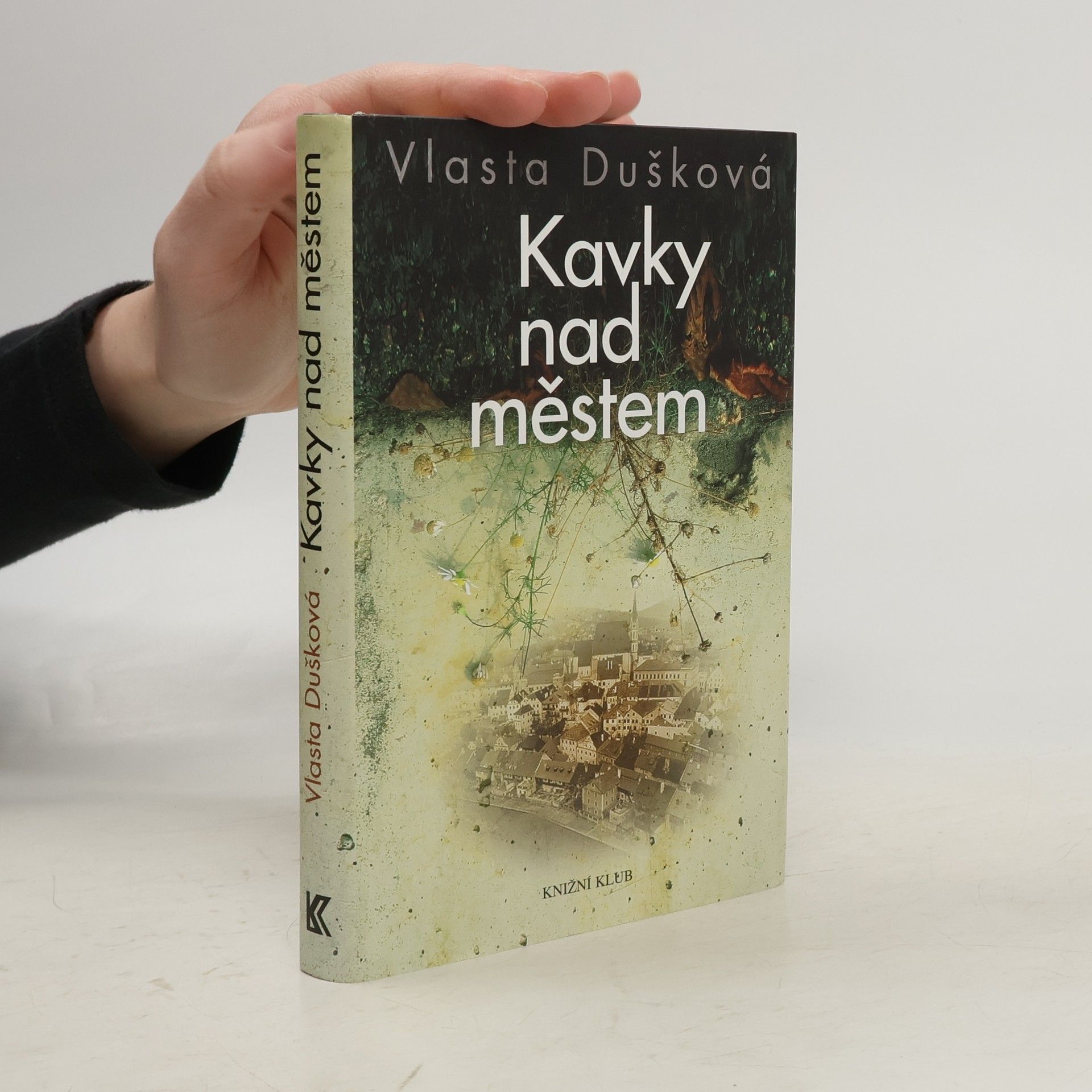 Vlasta Dušková Kavky nad městem