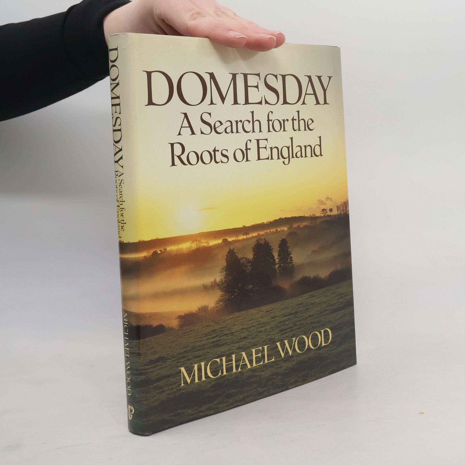 Michael Wood Domesday