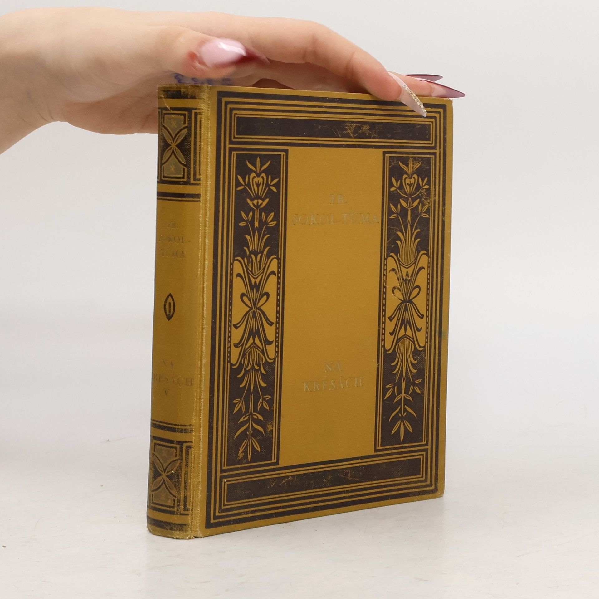 František Sokol Tůma Na kresách V