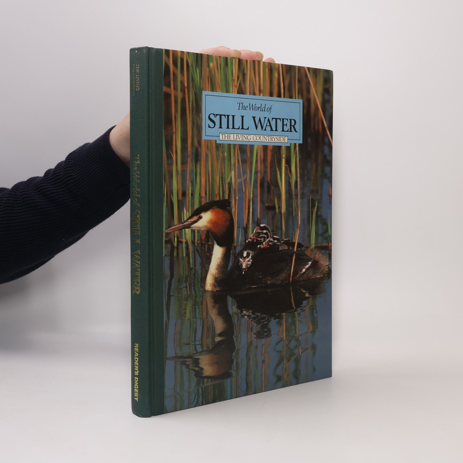 Kolektív autorov The World of Still Water