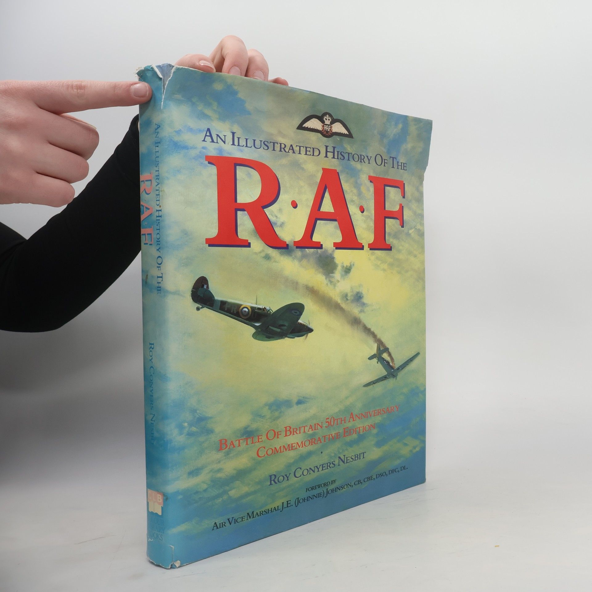 Roy Conyers Nesbit An Illustrated History of the RAF