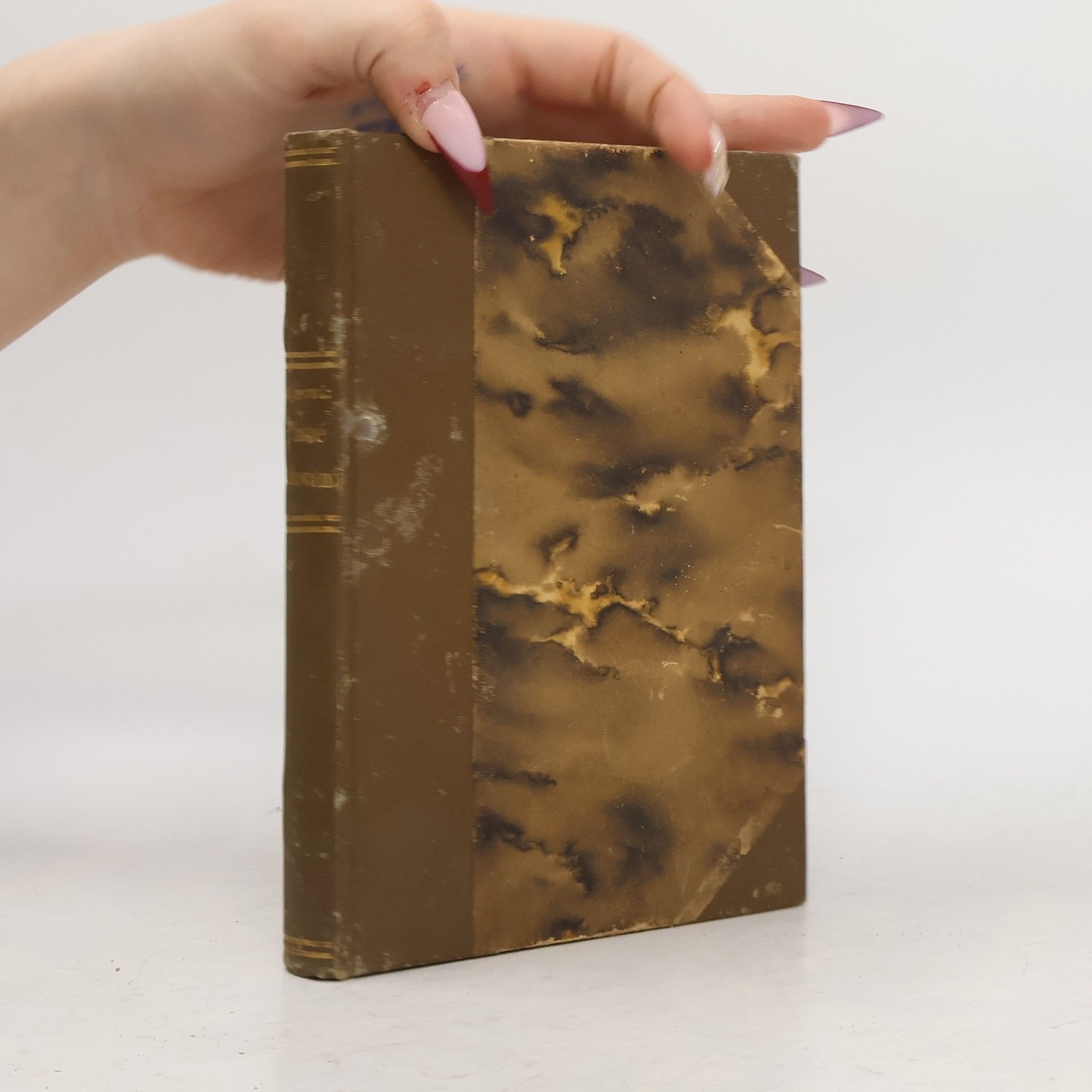 Marie Majerová Plané Milování