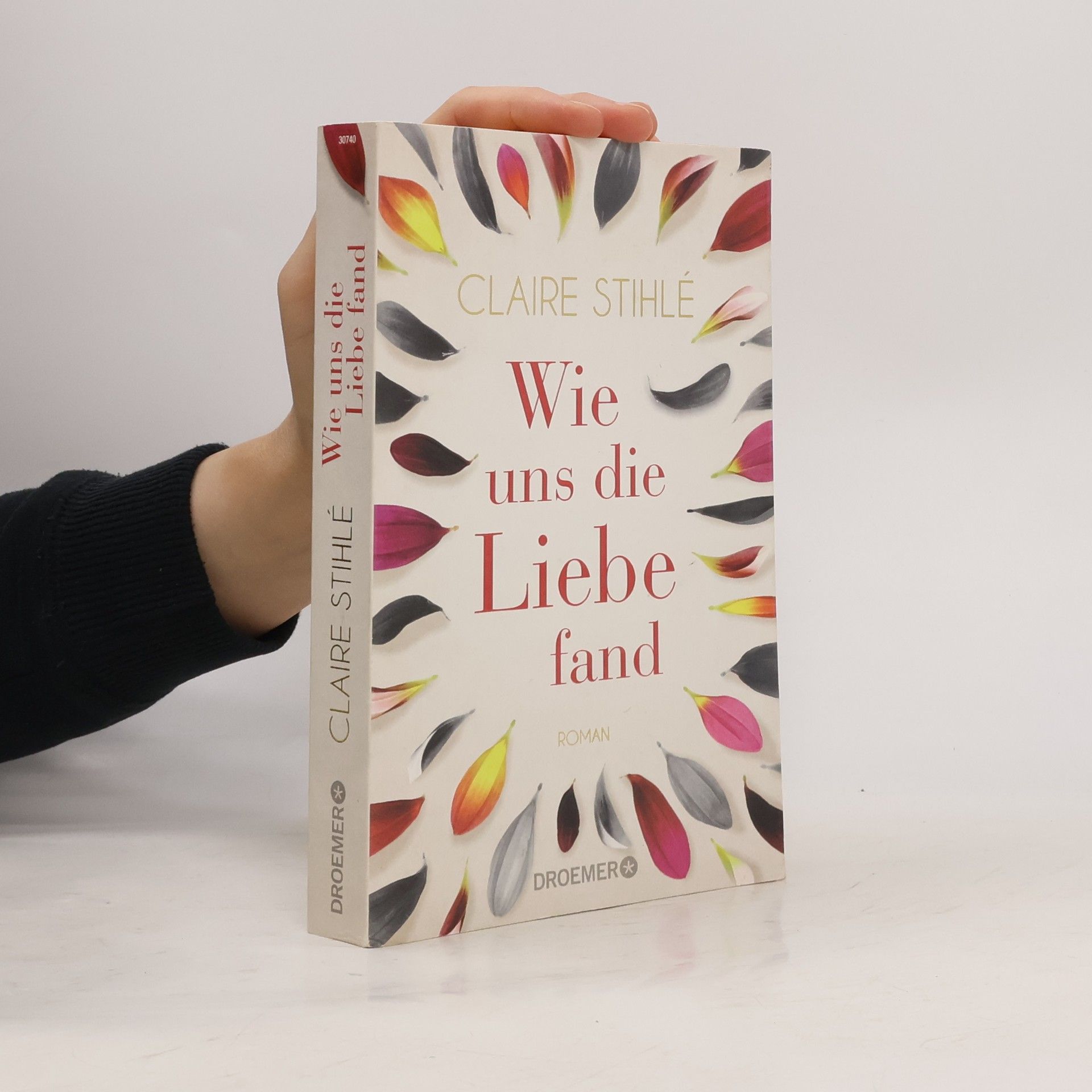 Claire Stihlé Wie uns die Liebe fand