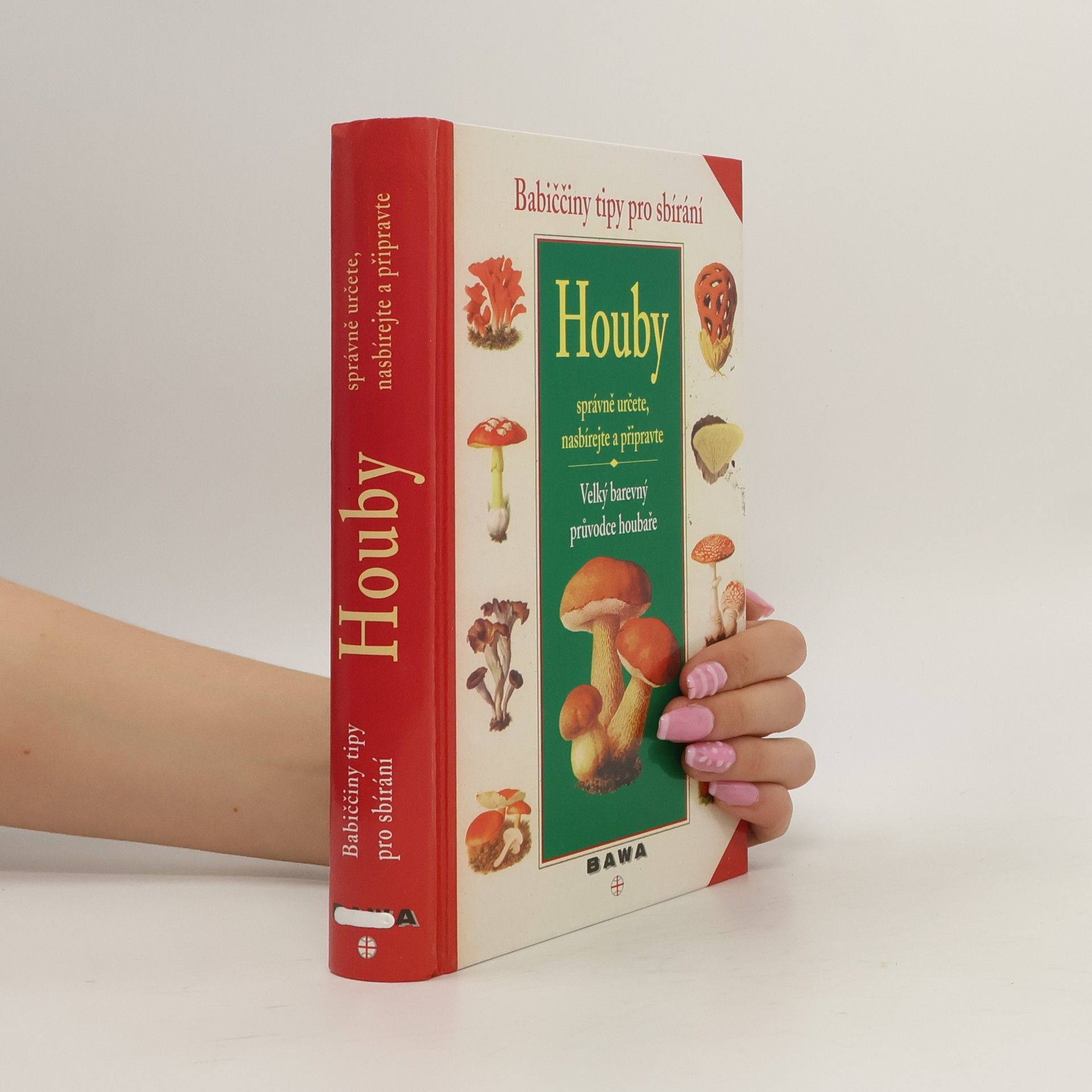 Houby : velký barevný průvodce houbaře : babiččiny tipy pro sbírání