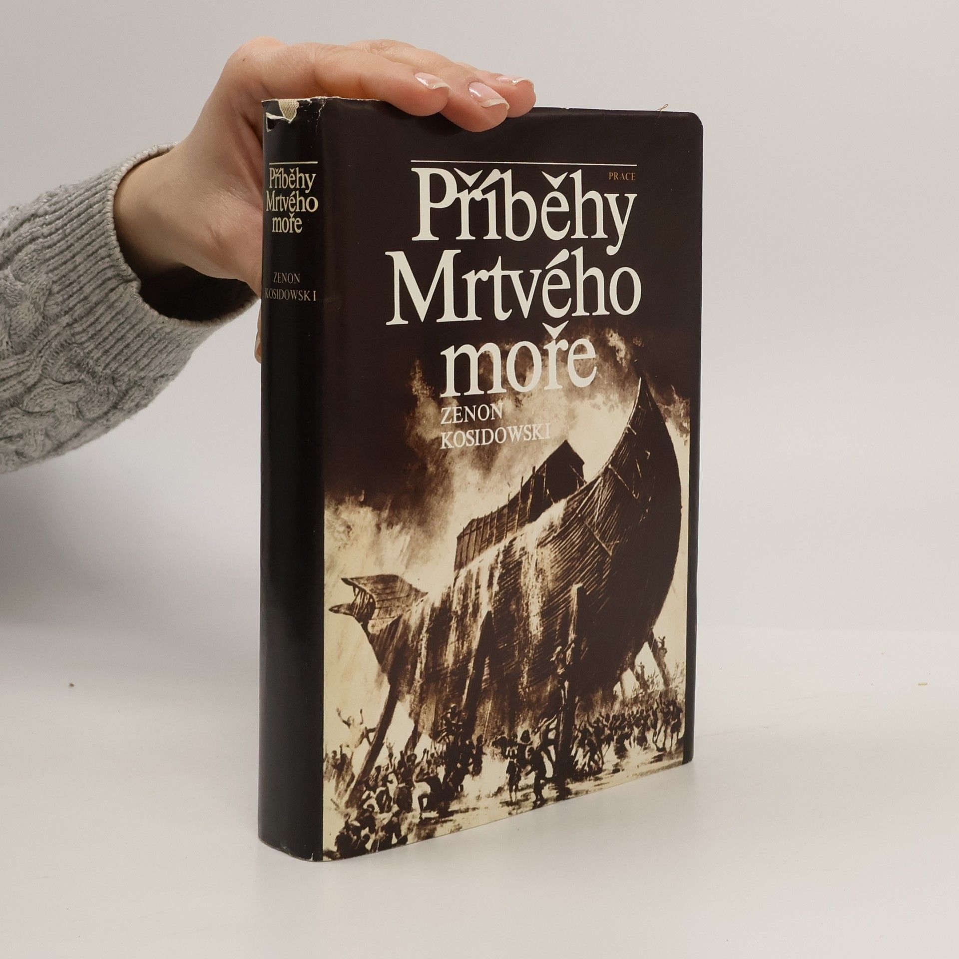 Zenon Kosidowski Příběhy Mrtvého moře