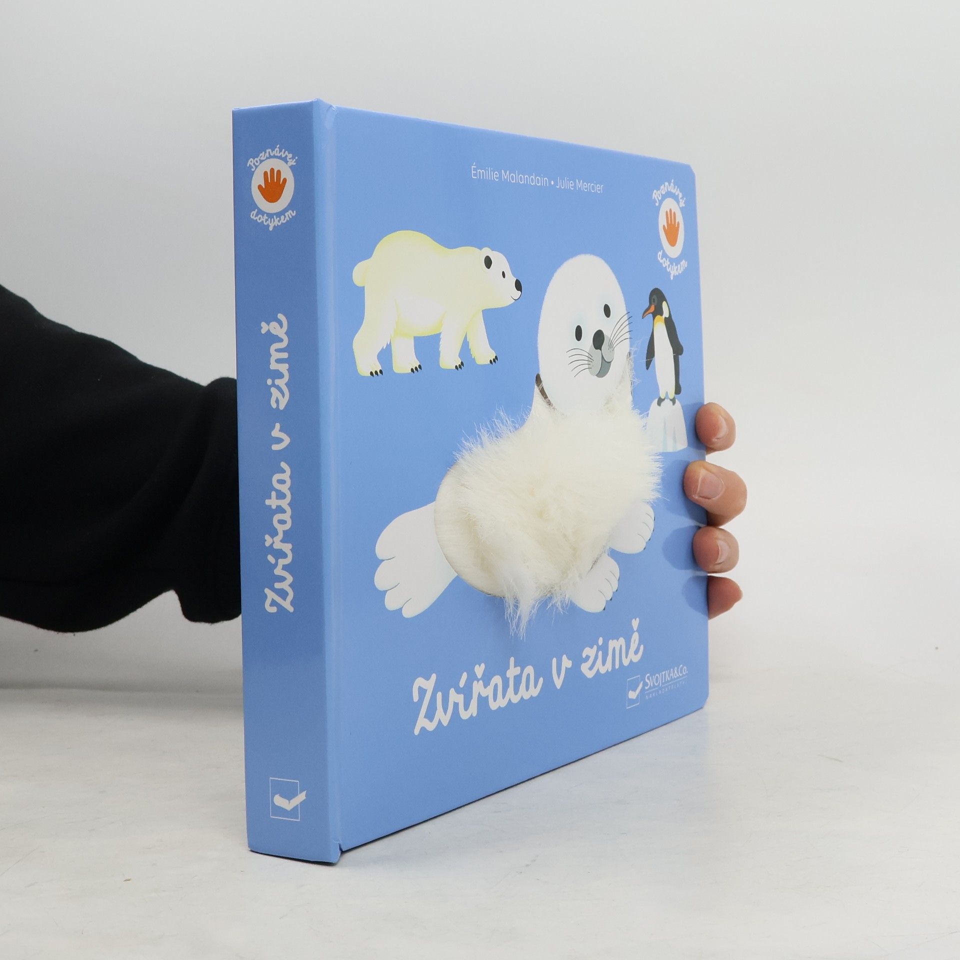 Émilie Malandain Zvířata v zimě