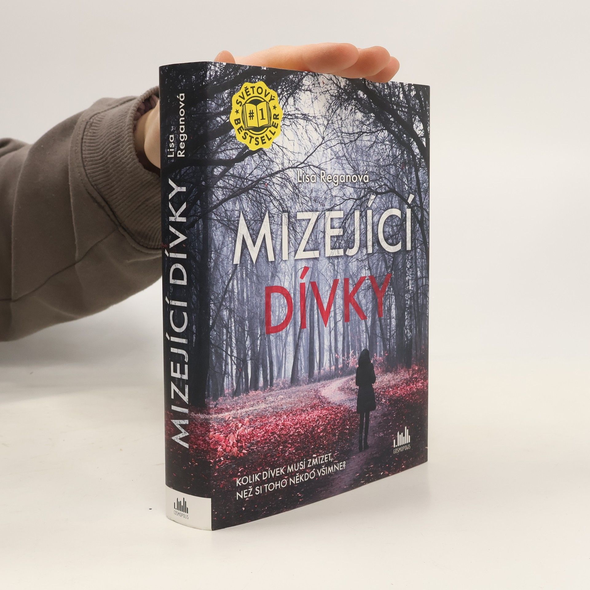 Lisa Regan Mizející dívky