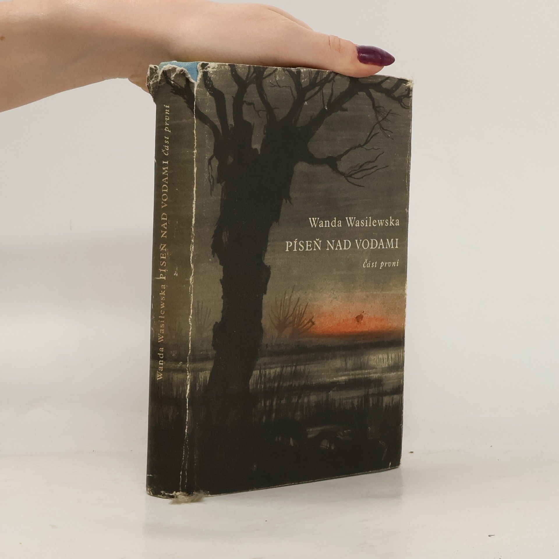 Píseň nad vodami I