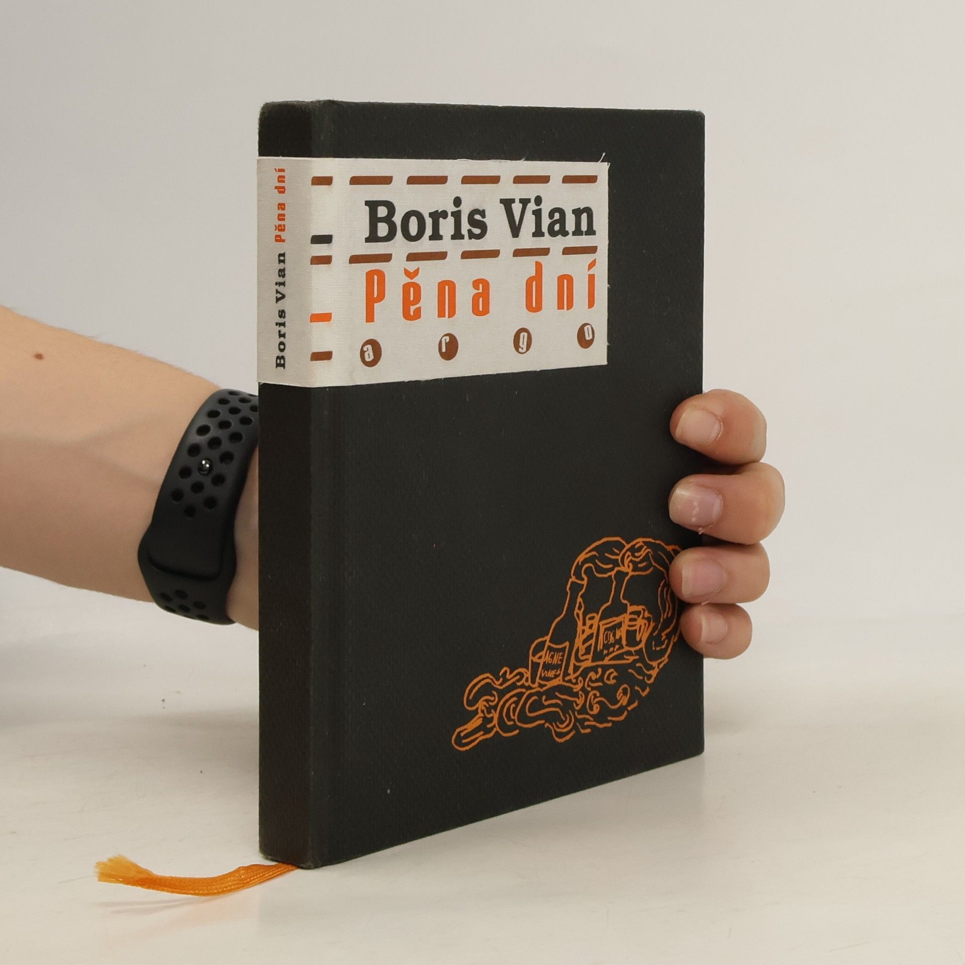 Boris Vian Pěna dní