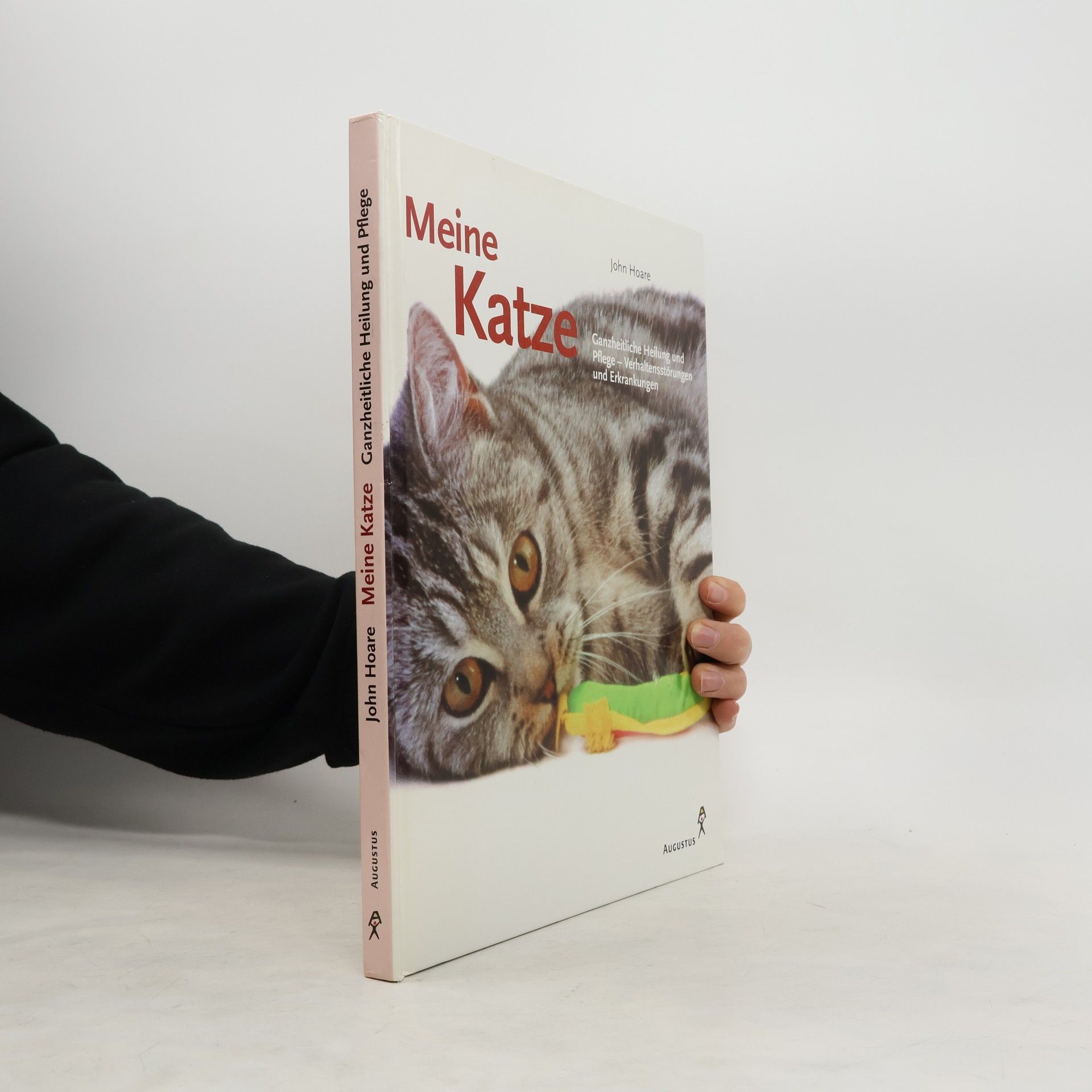 John Hoare Meine Katze