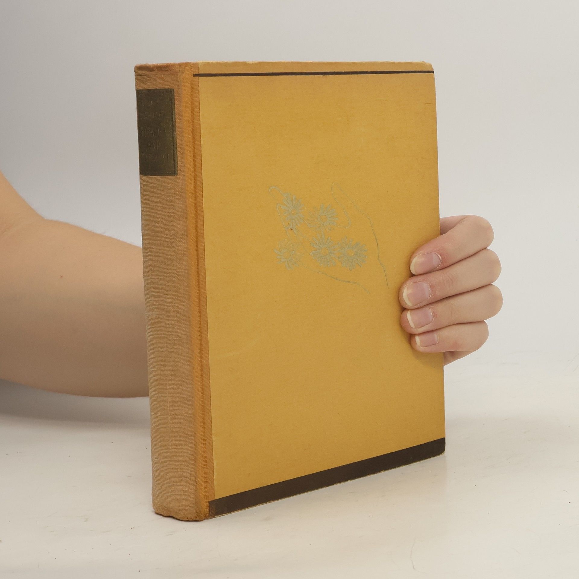 Berit Spong Mračna nad Härnevi