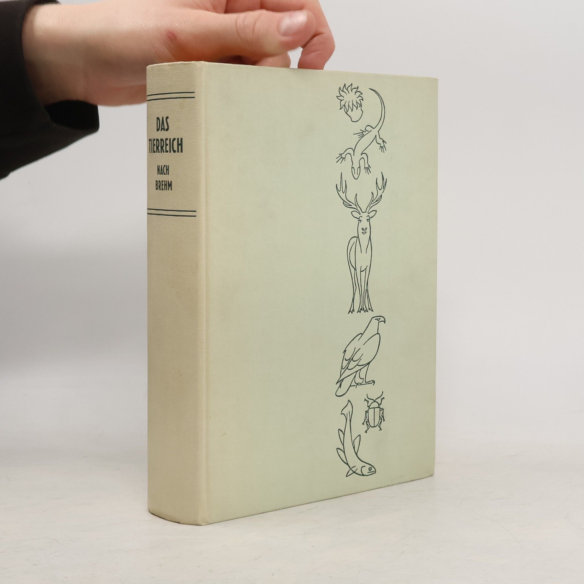 Autorenkollektiv Das Tierreich nach Brehm