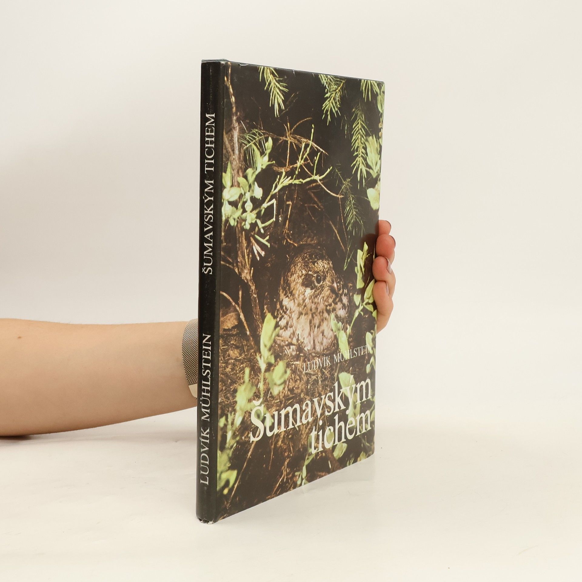 Ludvík Mühlstein Šumavským tichem
