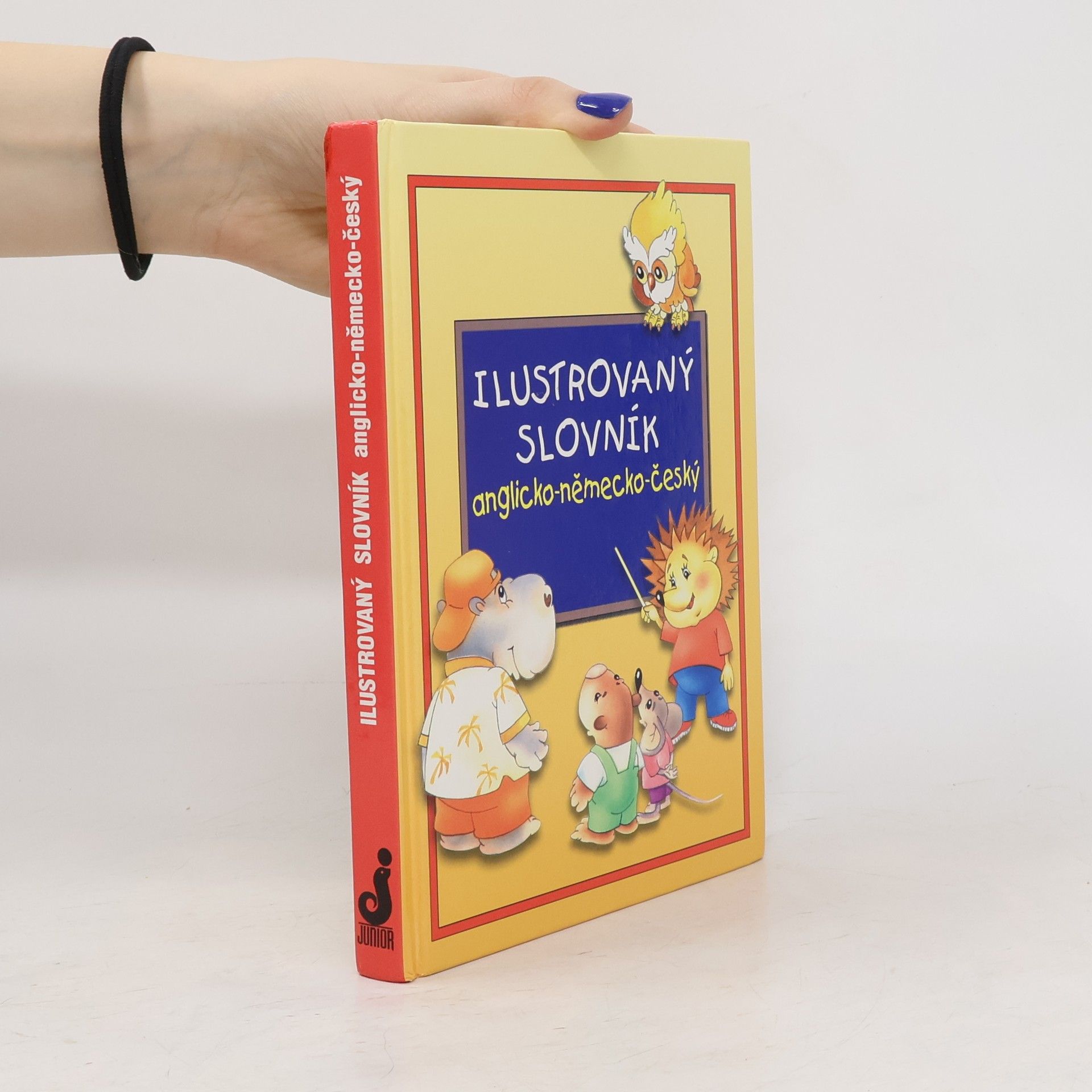 Alena Amchová Ilustrovaný slovník anglicko-německo-český