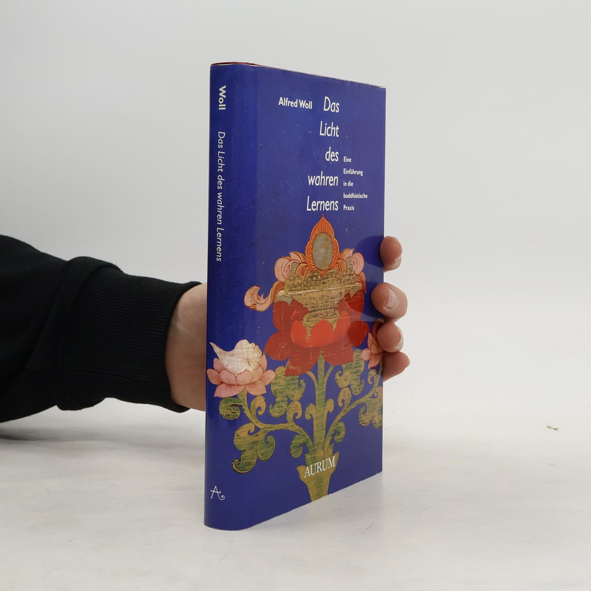 Alfred Woll Das Licht des wahren Lernens