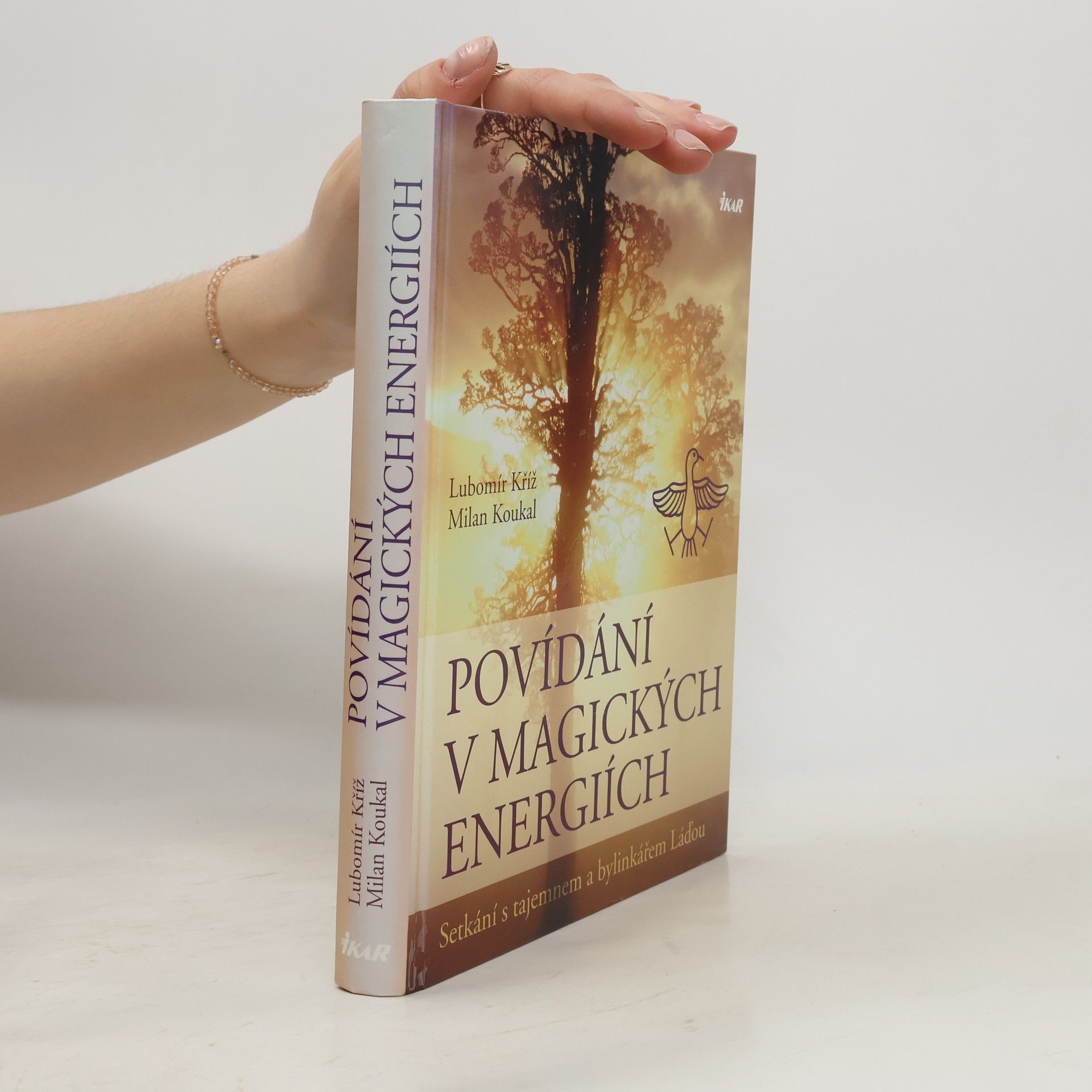 Lubomír Kříž Povídání v magických energiích