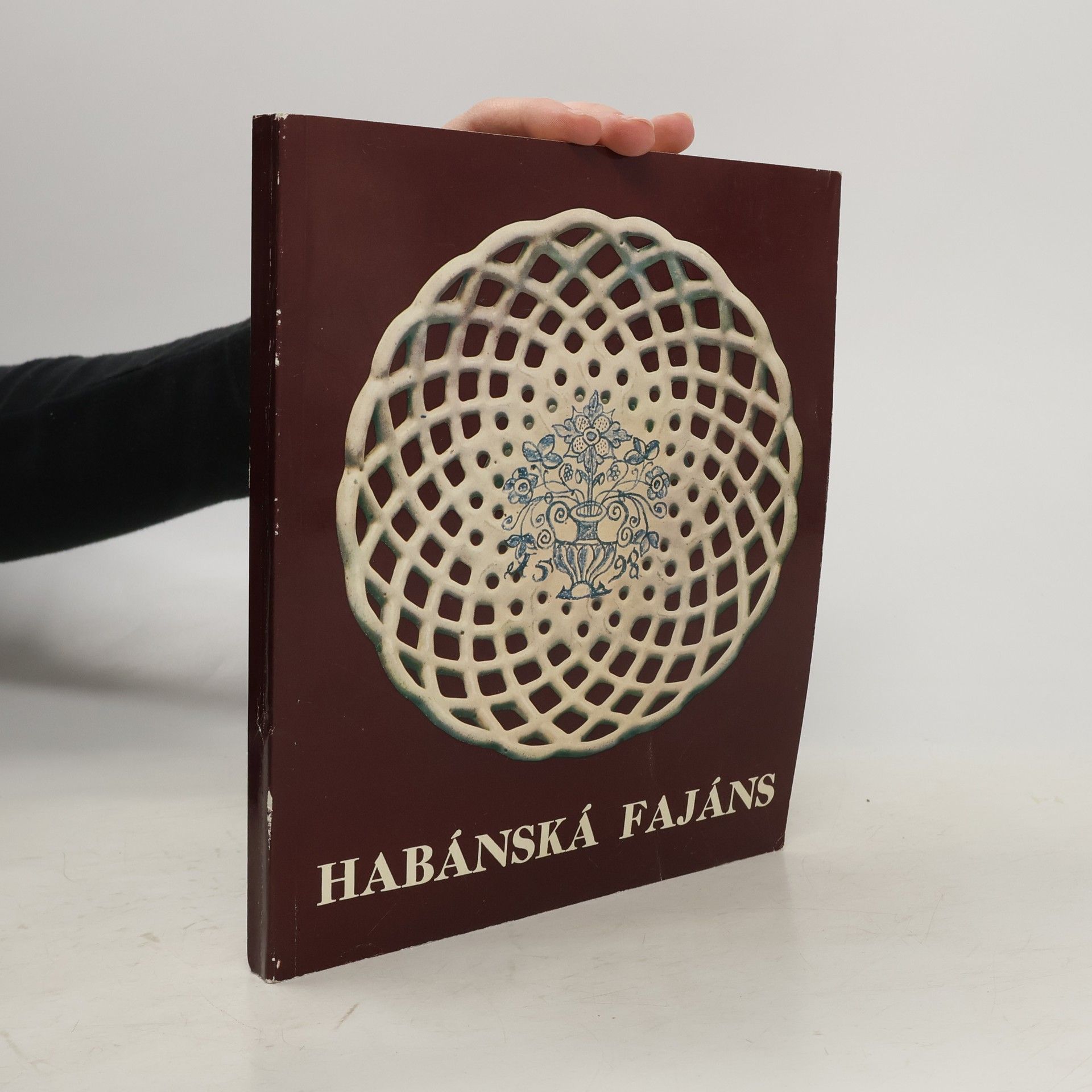 Kolektiv autorů Habánská fajáns