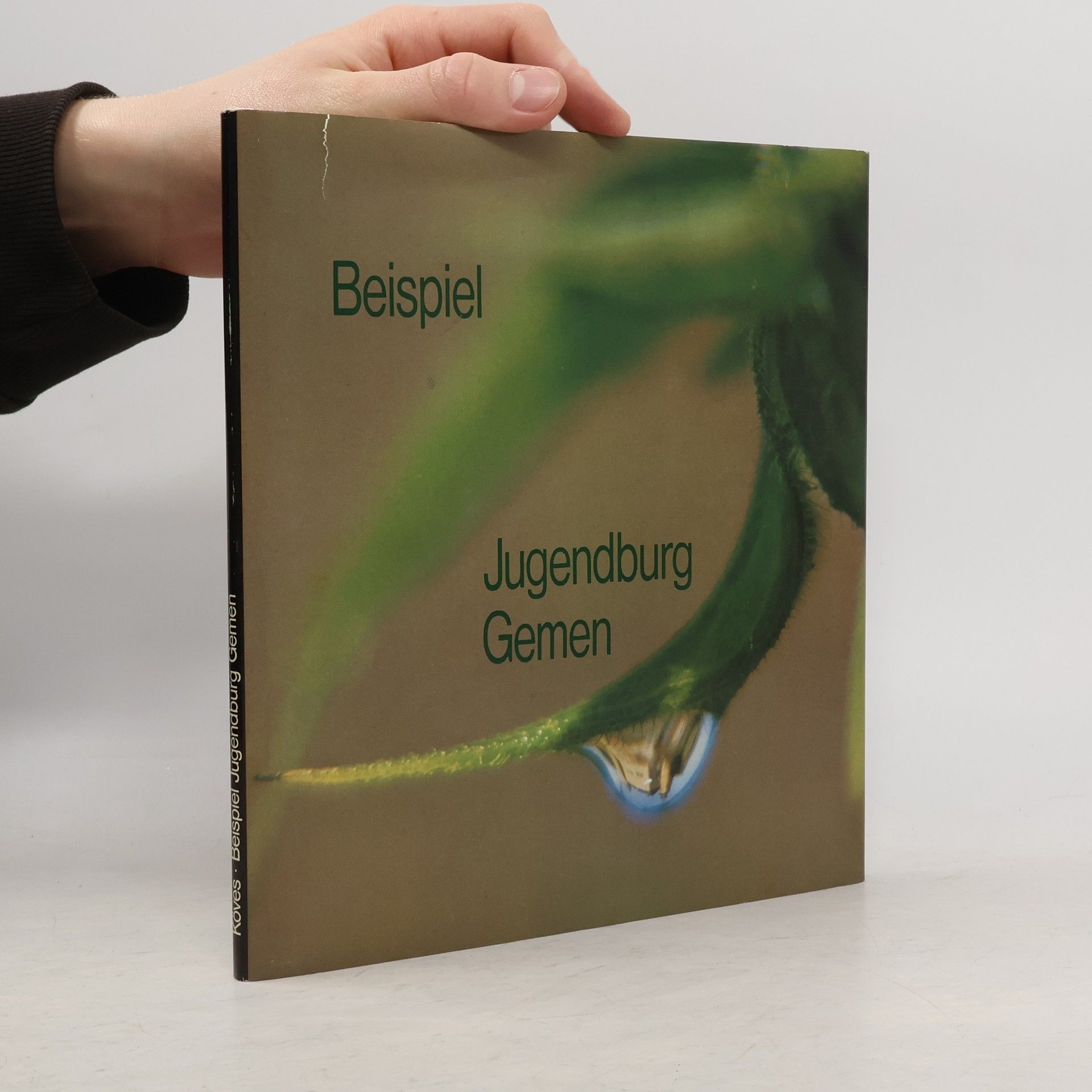 Beispiel Jugendburg Gemen