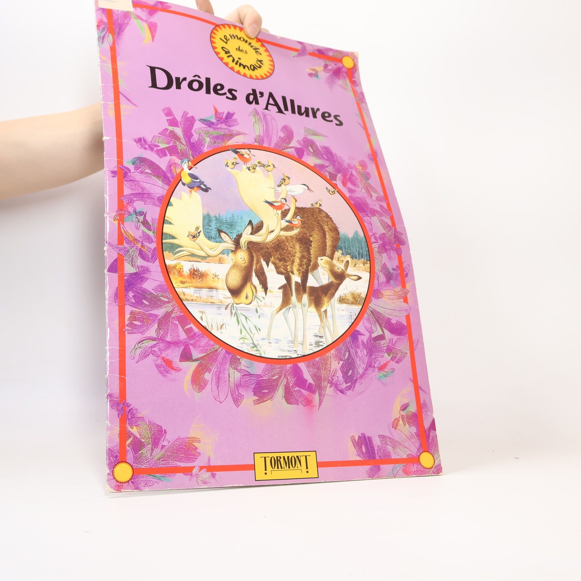 Autorenkollektiv Drôles d'allures