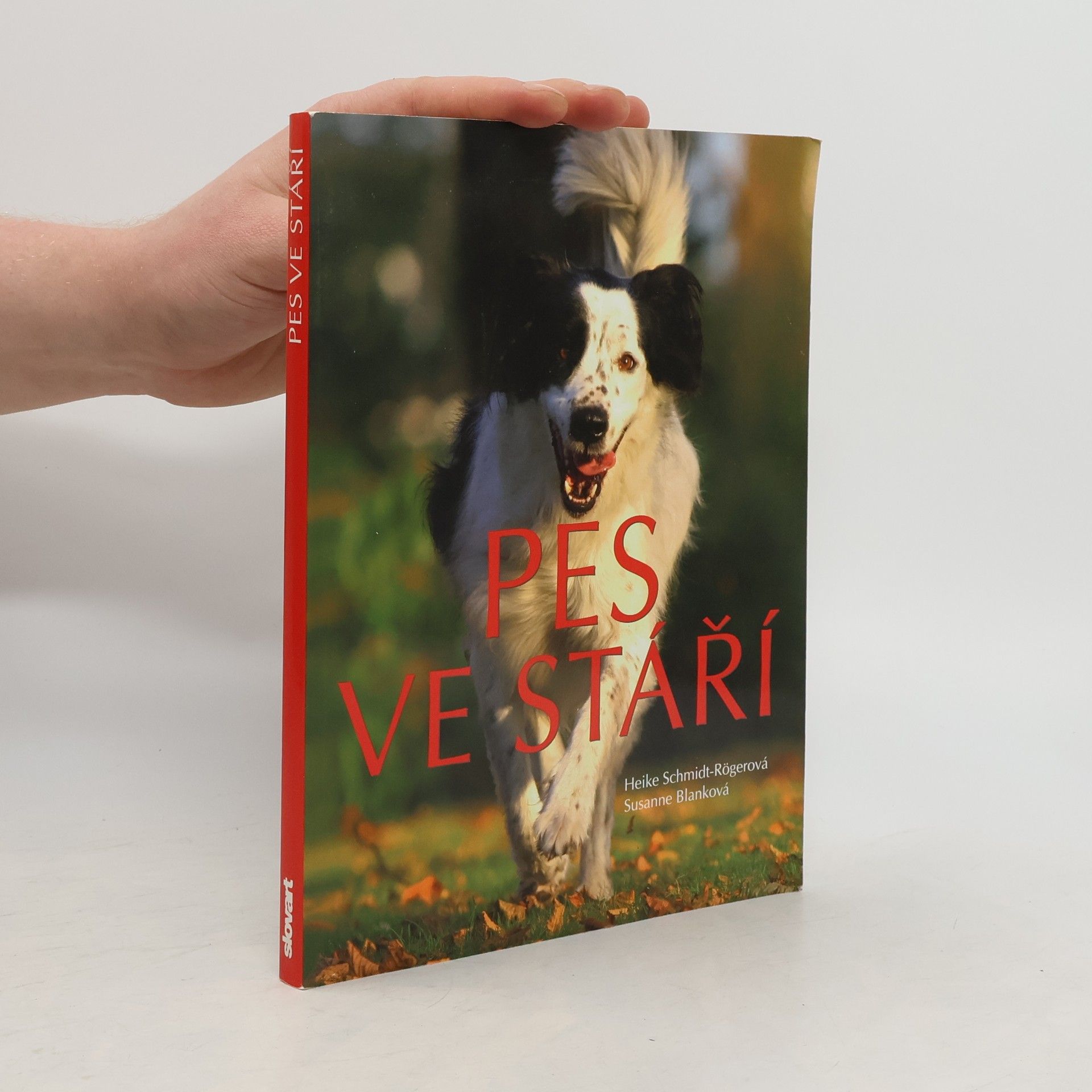 Heike Schmidt-Röger Pes ve stáří