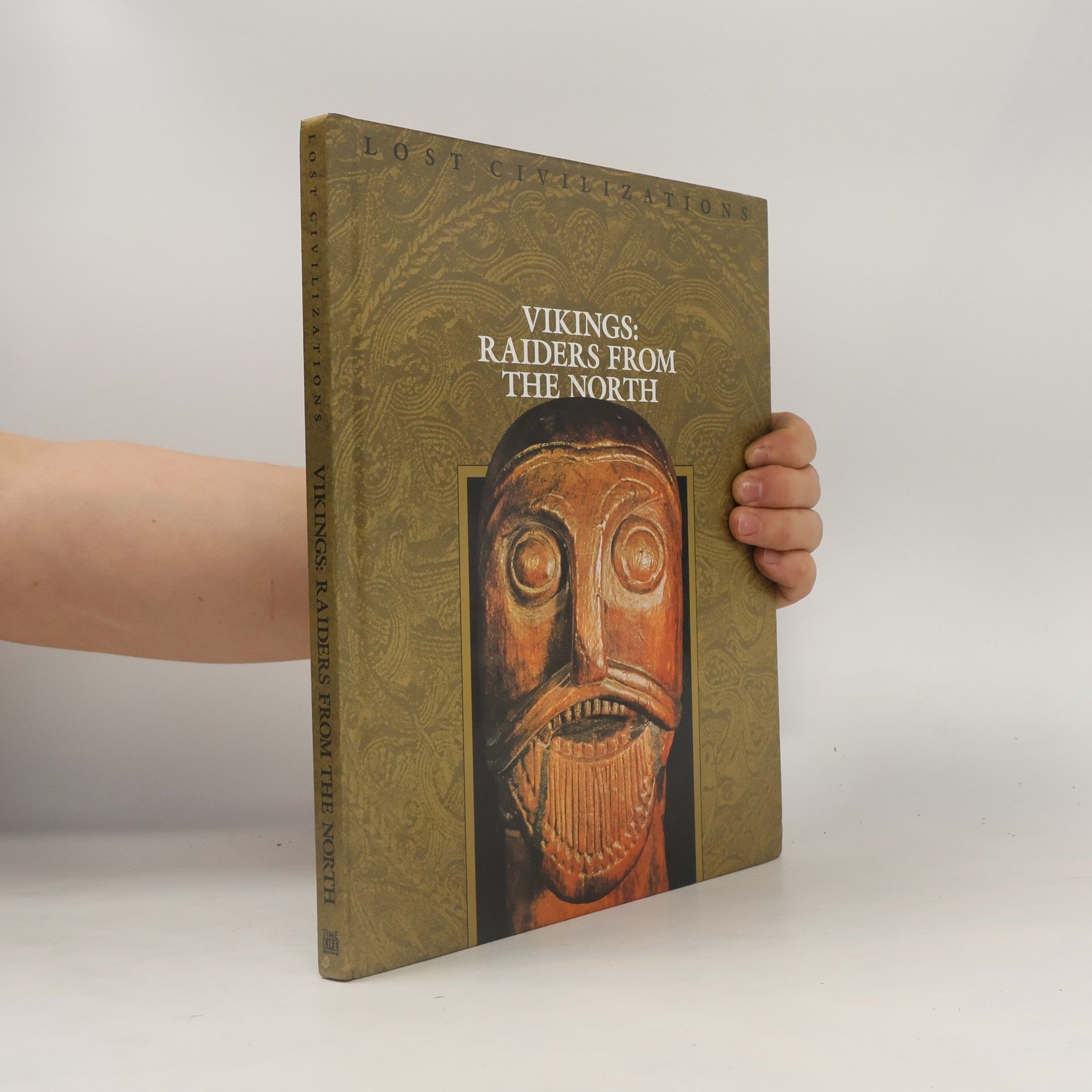 AA.VV. Vikings: Raiders from the North