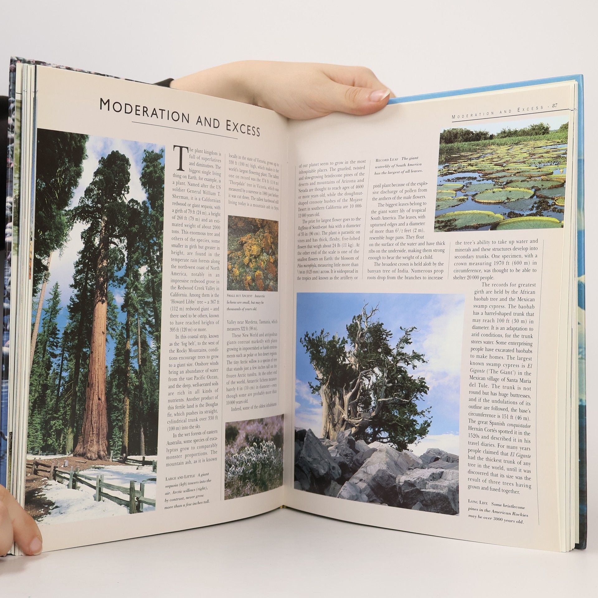Steve Cox The Earth, Its Wonders, Its Secrets: Nature's Masterpieces