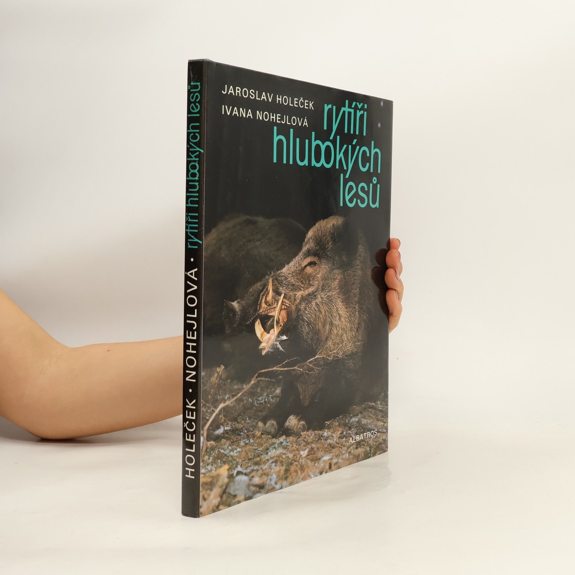 Ivana Nohejlová Rytíři hlubokých lesů