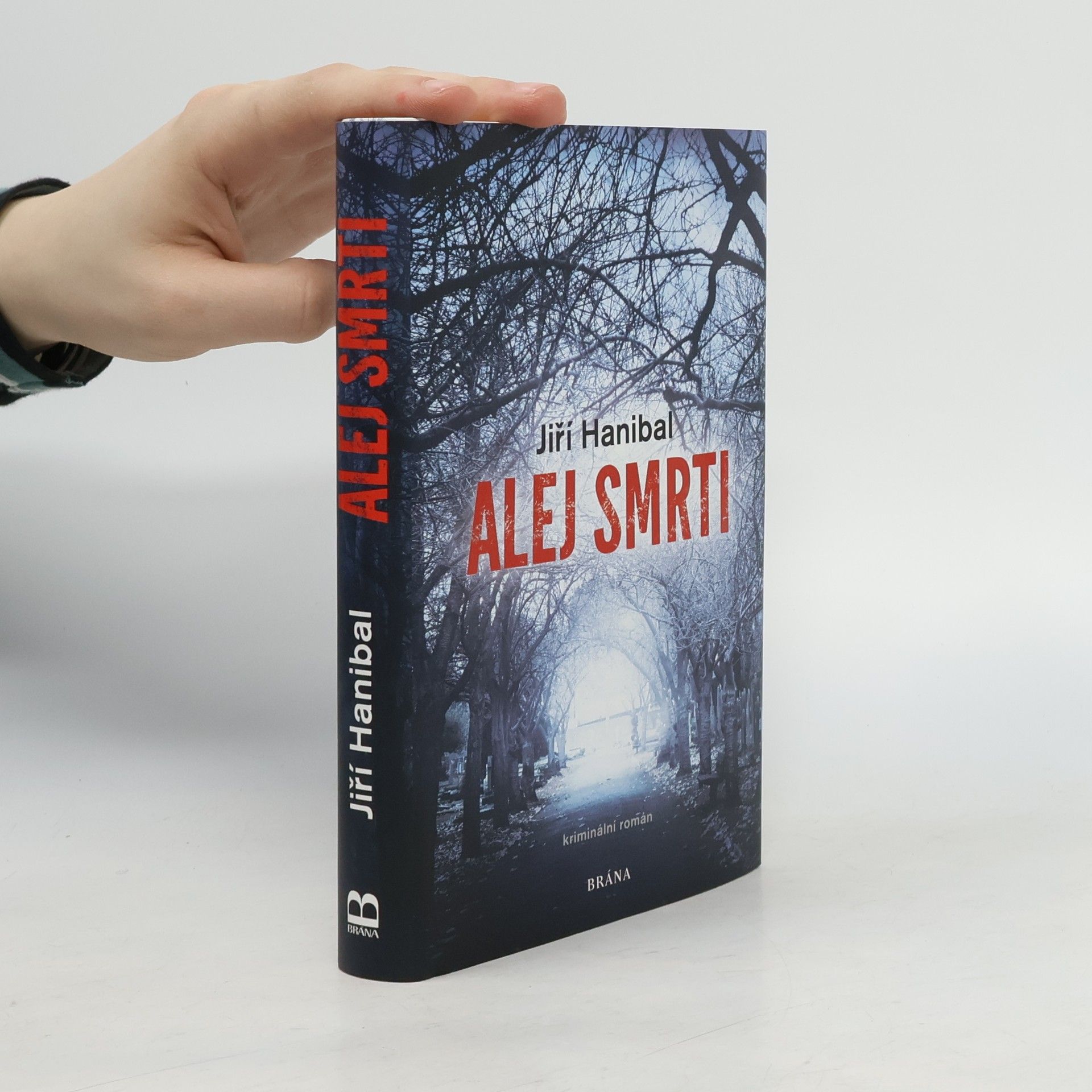 Jirí Hanibal Alej smrti