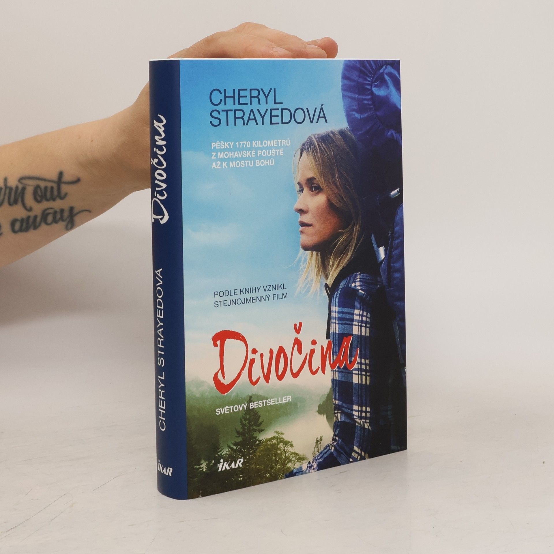 Cheryl Strayed Divočina. Pěšky 1770 kilometrů z Mohavské pouště až k mostu bohů