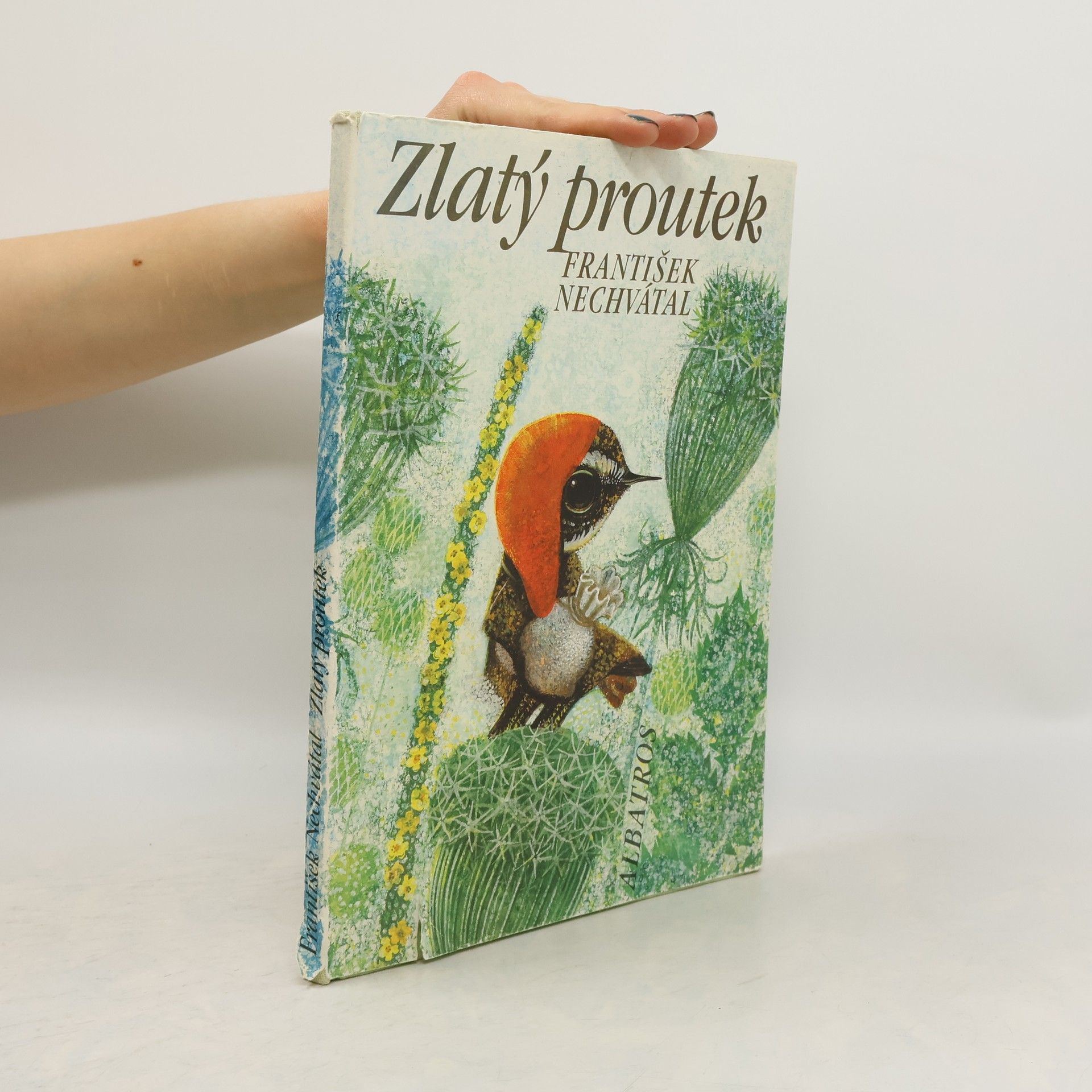 František Nechvátal Zlatý proutek