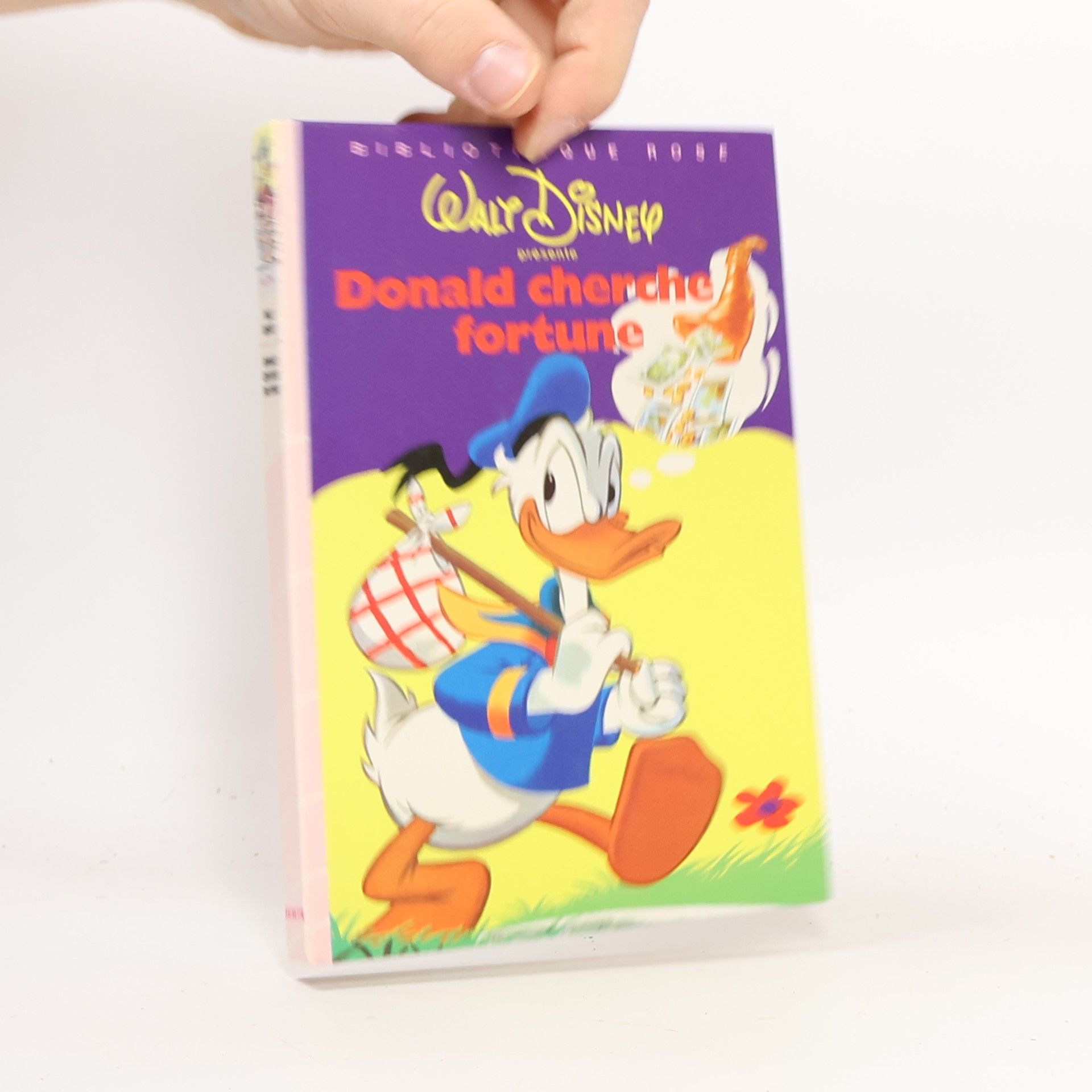 Walt Disney Bibliothèque Rose: Donald cherche fortune