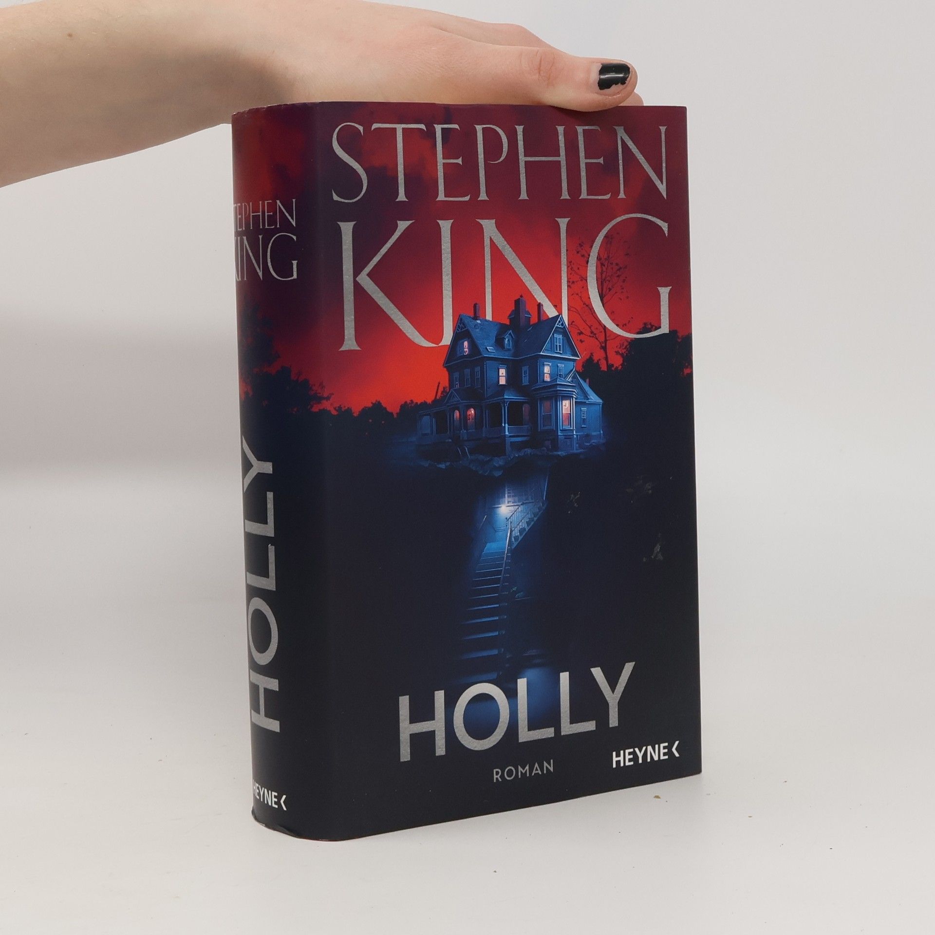 Stephen King Holly