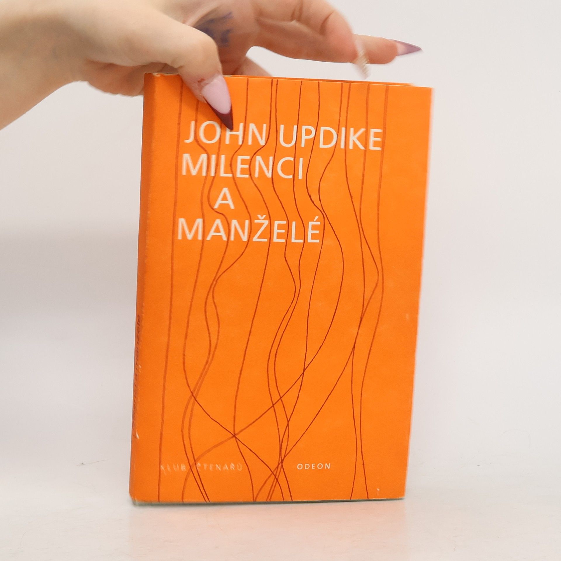 John Updike Milenci a manželé