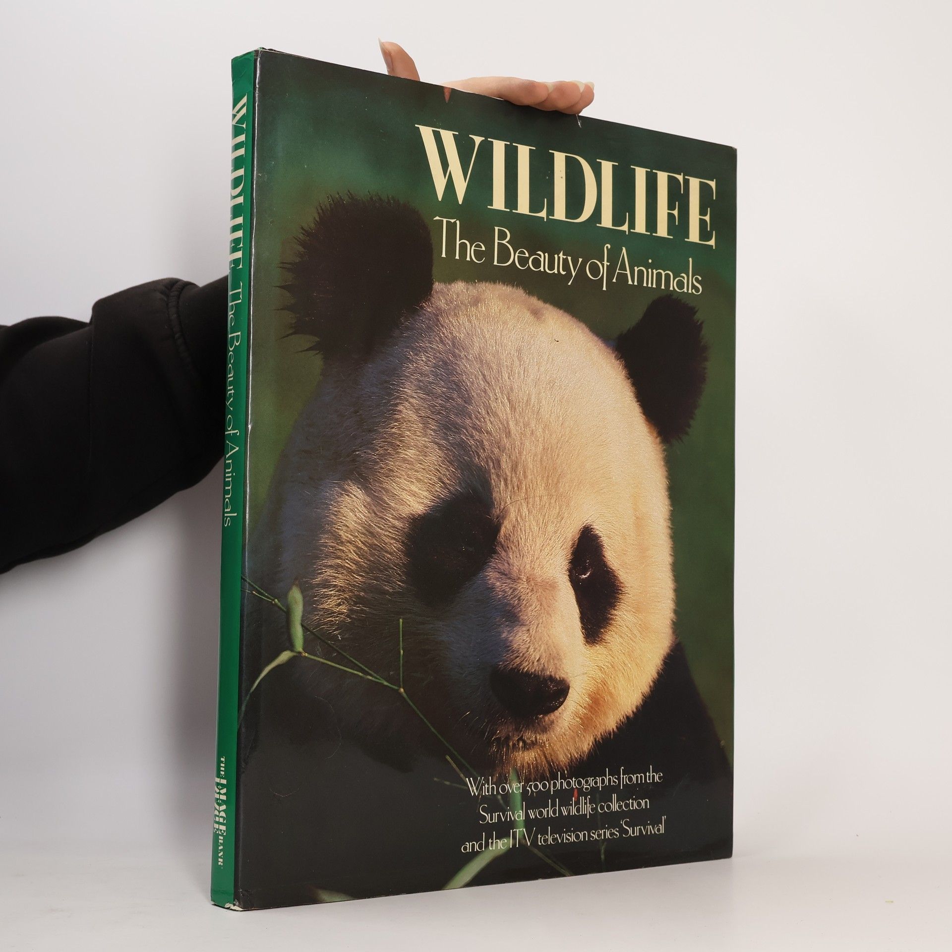 Rupert O. Matthews Wildlife The Beauty Of Animals