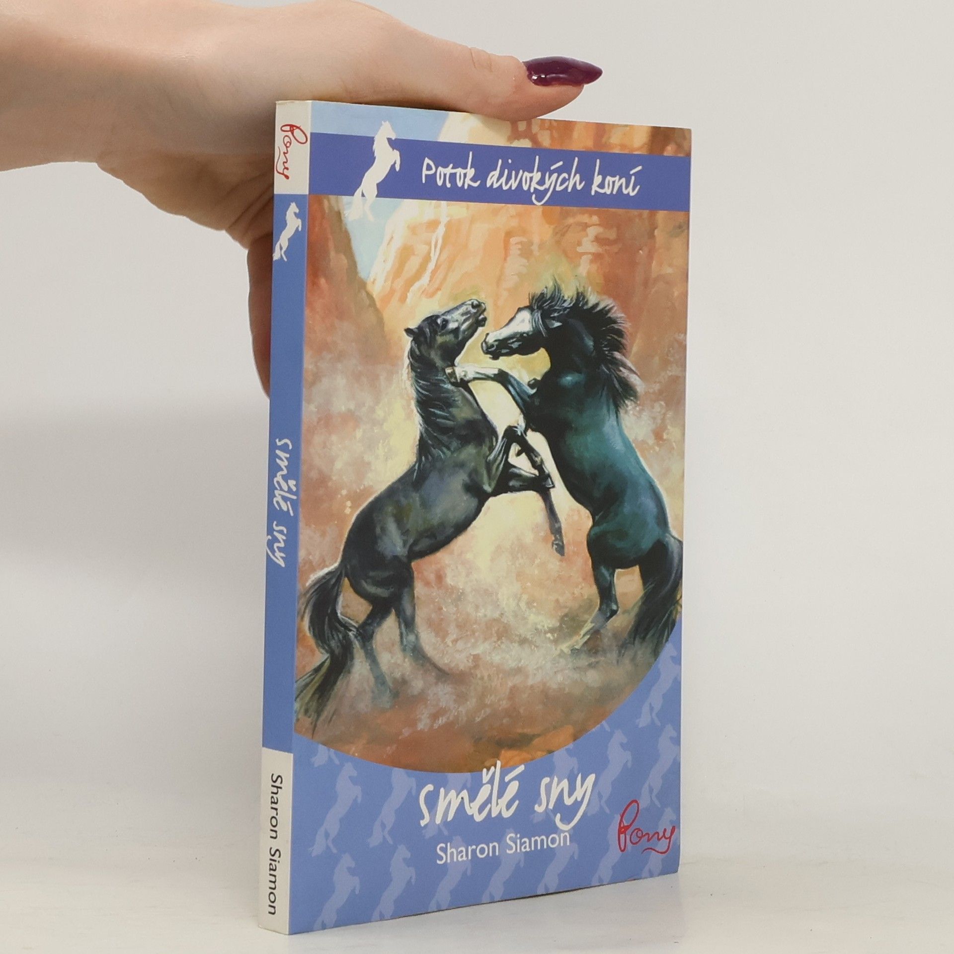 Sharon Siamon Smělé sny. 5. díl