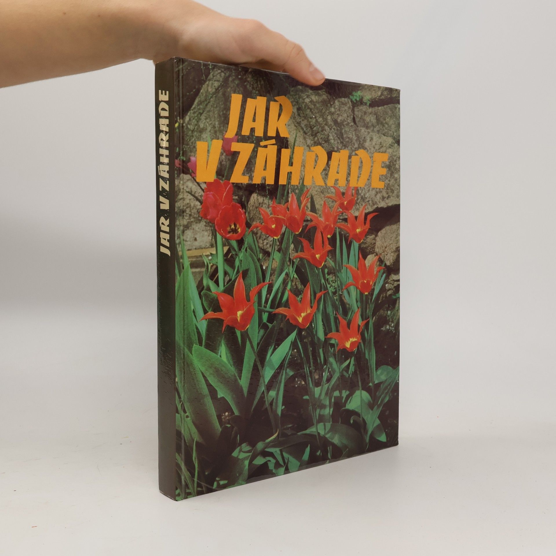 Kolektiv autorů Jar v záhrade